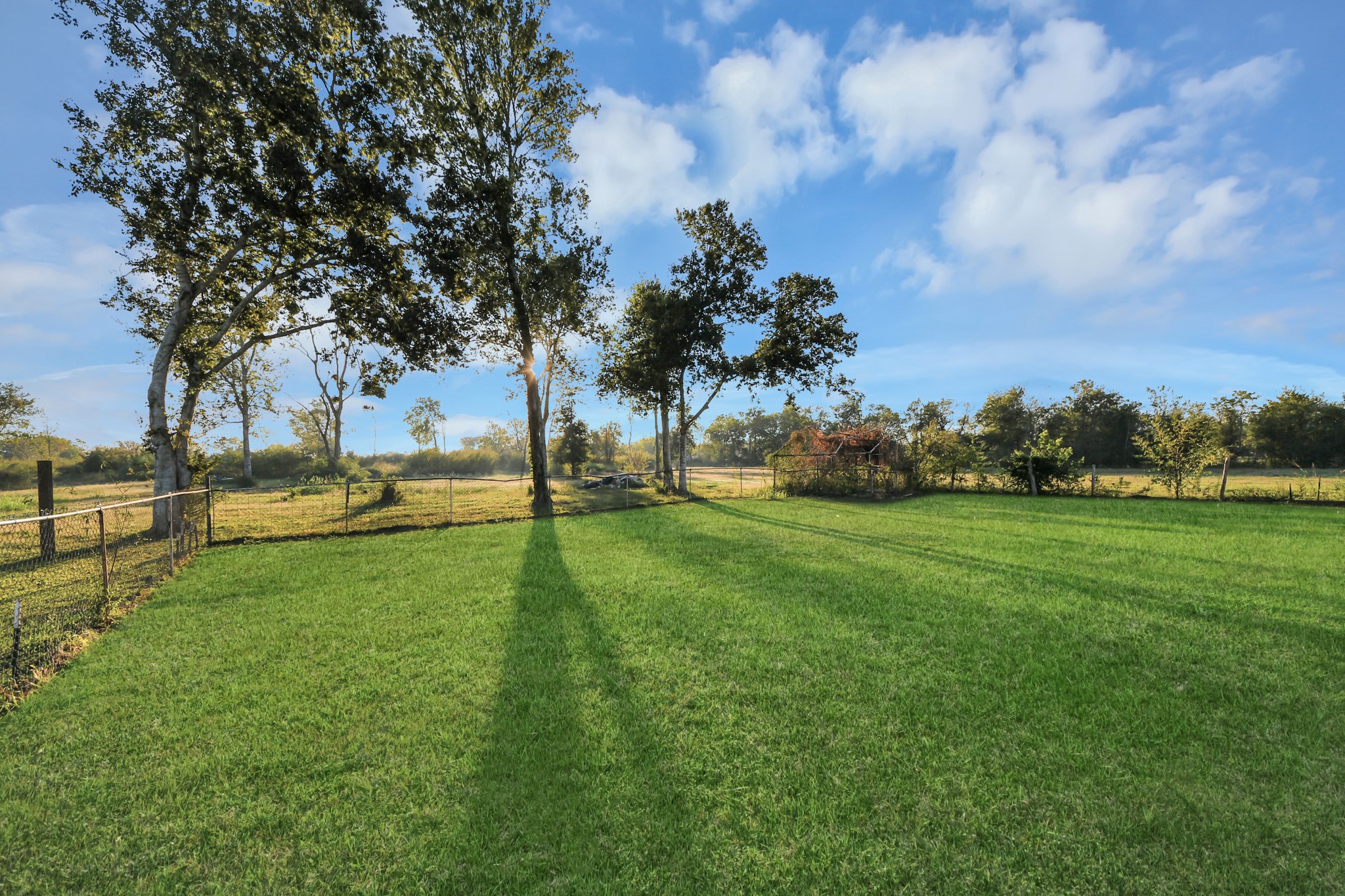 4503 Patterson Lane, Manvel, TX 77578