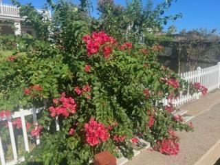 2417 Gerol Drive, Galveston, TX 77551 2417 Gerol Drive, Galveston, TX 77551