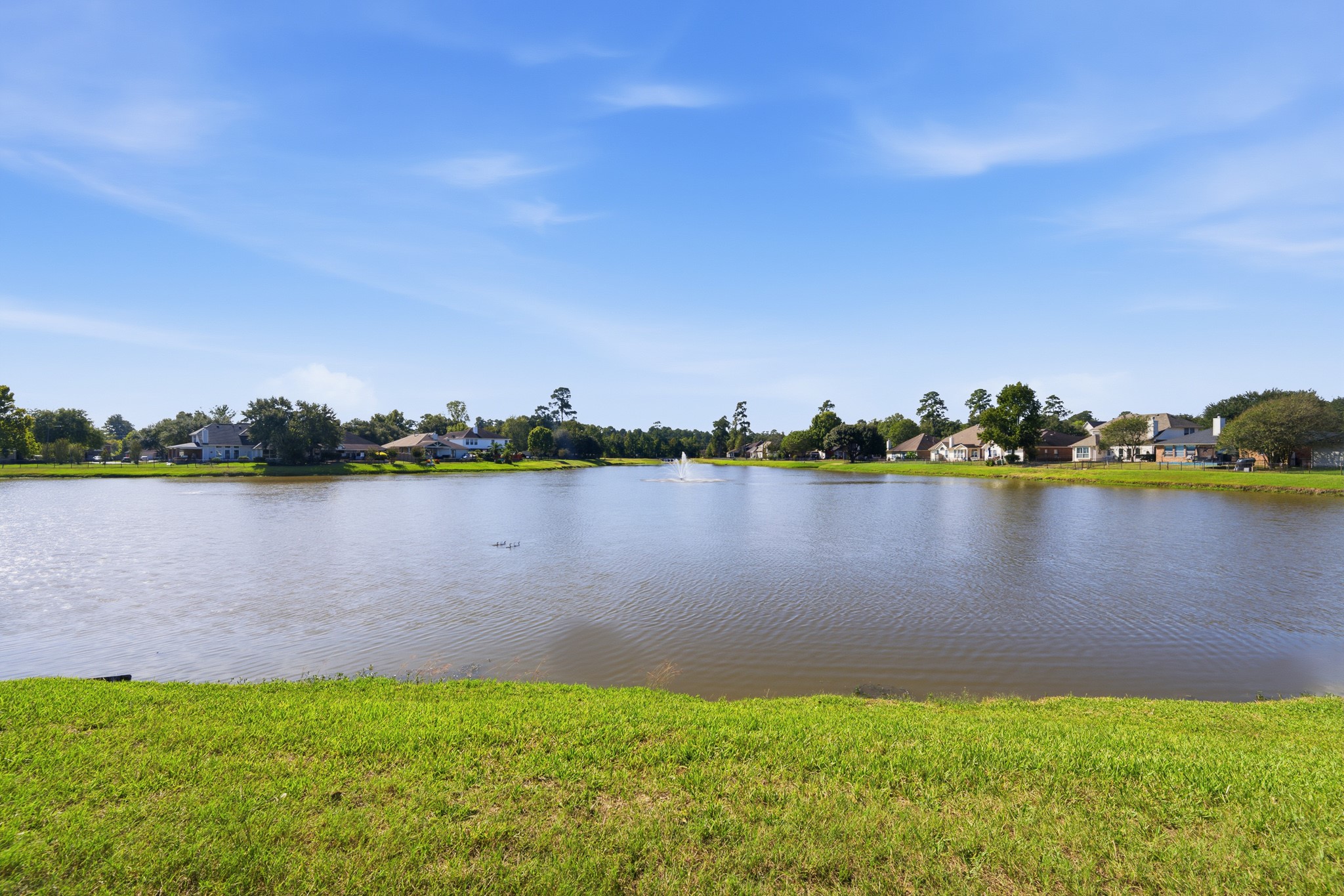 9303 E Lakeside Drive, Magnolia, TX 77354