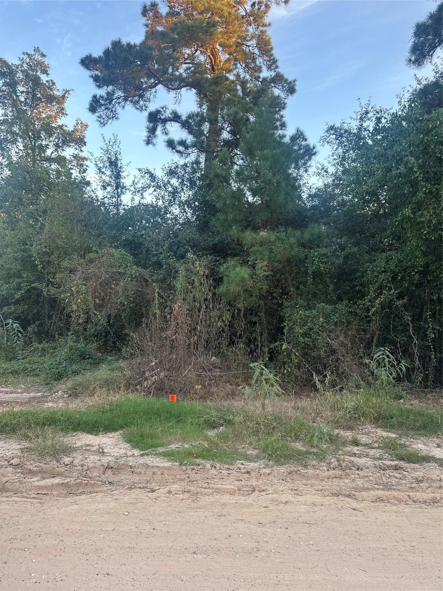 19687 Pine Haven, Conroe, TX 77385 19687 Pine Haven, Conroe, TX 77385