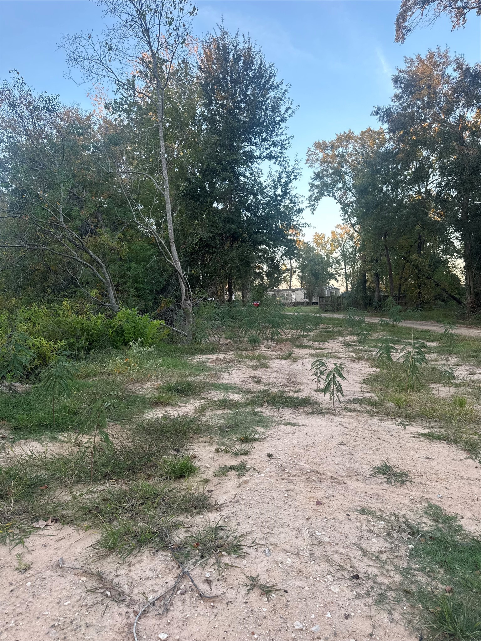 19687 Pine Haven, Conroe, TX 77385 19687 Pine Haven, Conroe, TX 77385