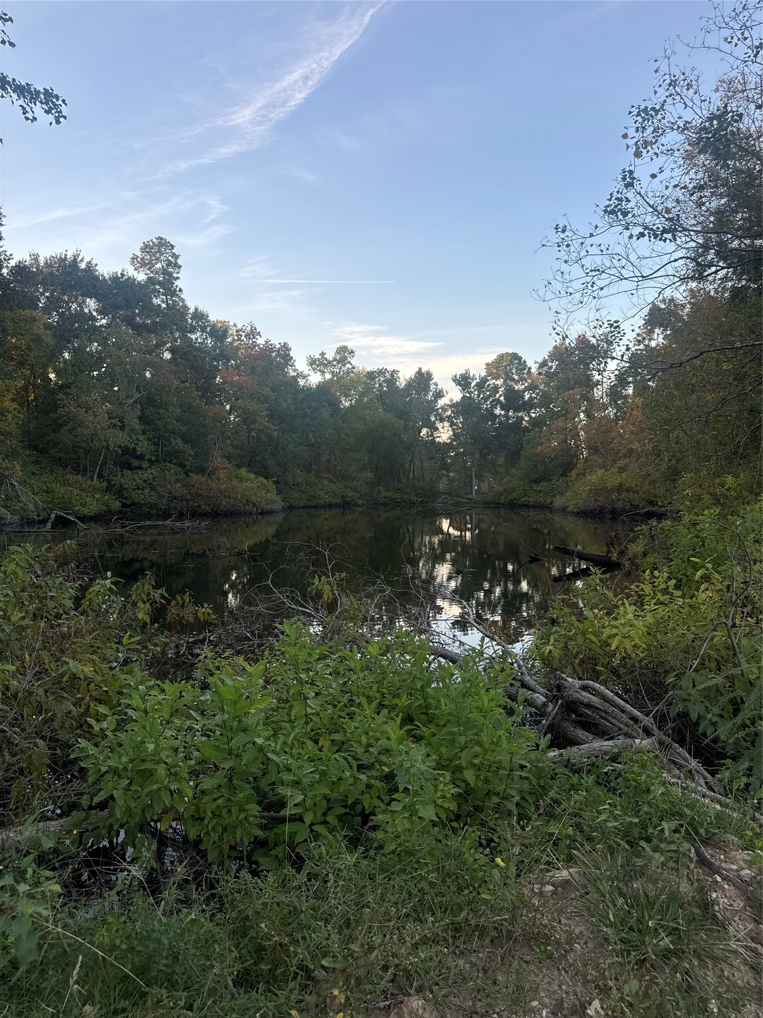 19687 Pine Haven, Conroe, TX 77385 19687 Pine Haven, Conroe, TX 77385