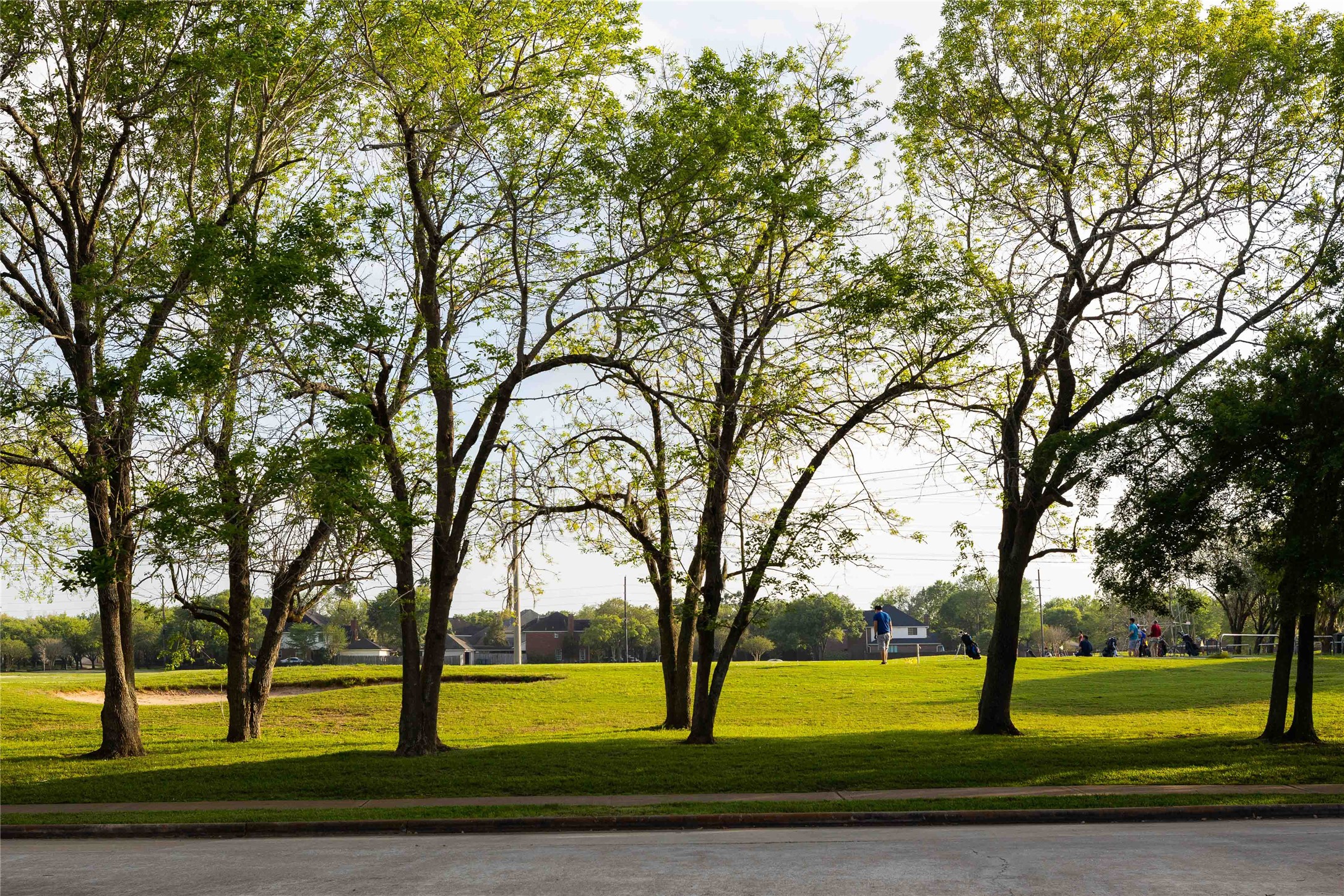 Mature trees and lush green spaces create a welcoming neighborhood atmosphere.