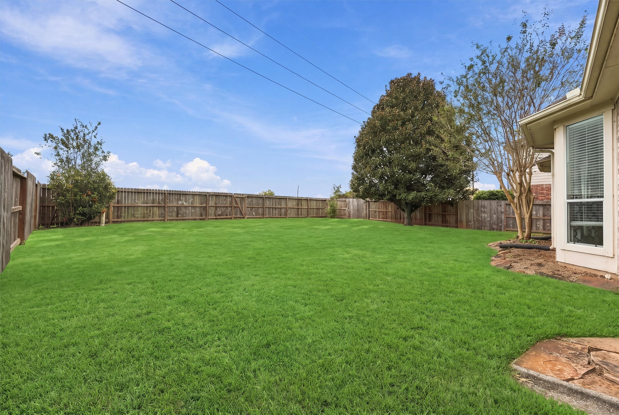 Expansive backyard with lush green grass and no rear neighbors.