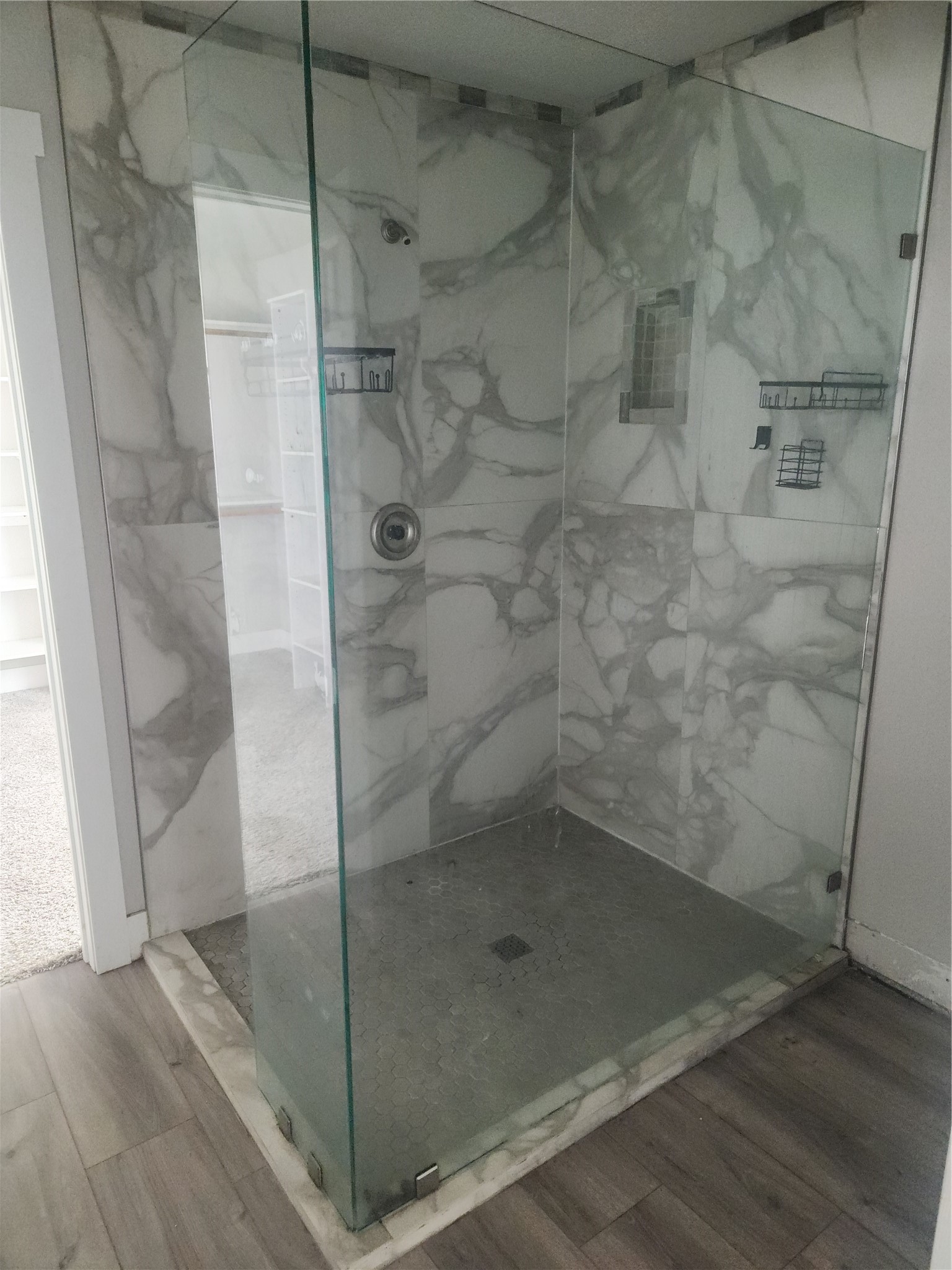 Walking shower Primary Bath