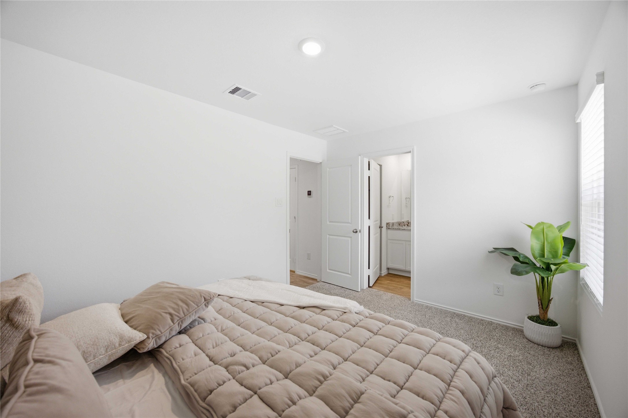 6015 Pineapple Street, Houston, TX 77048