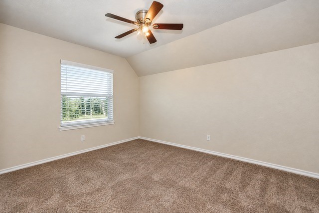 3rd bedroom featuring lush carpet, ceiling fan and a nice window for natural sunlight.