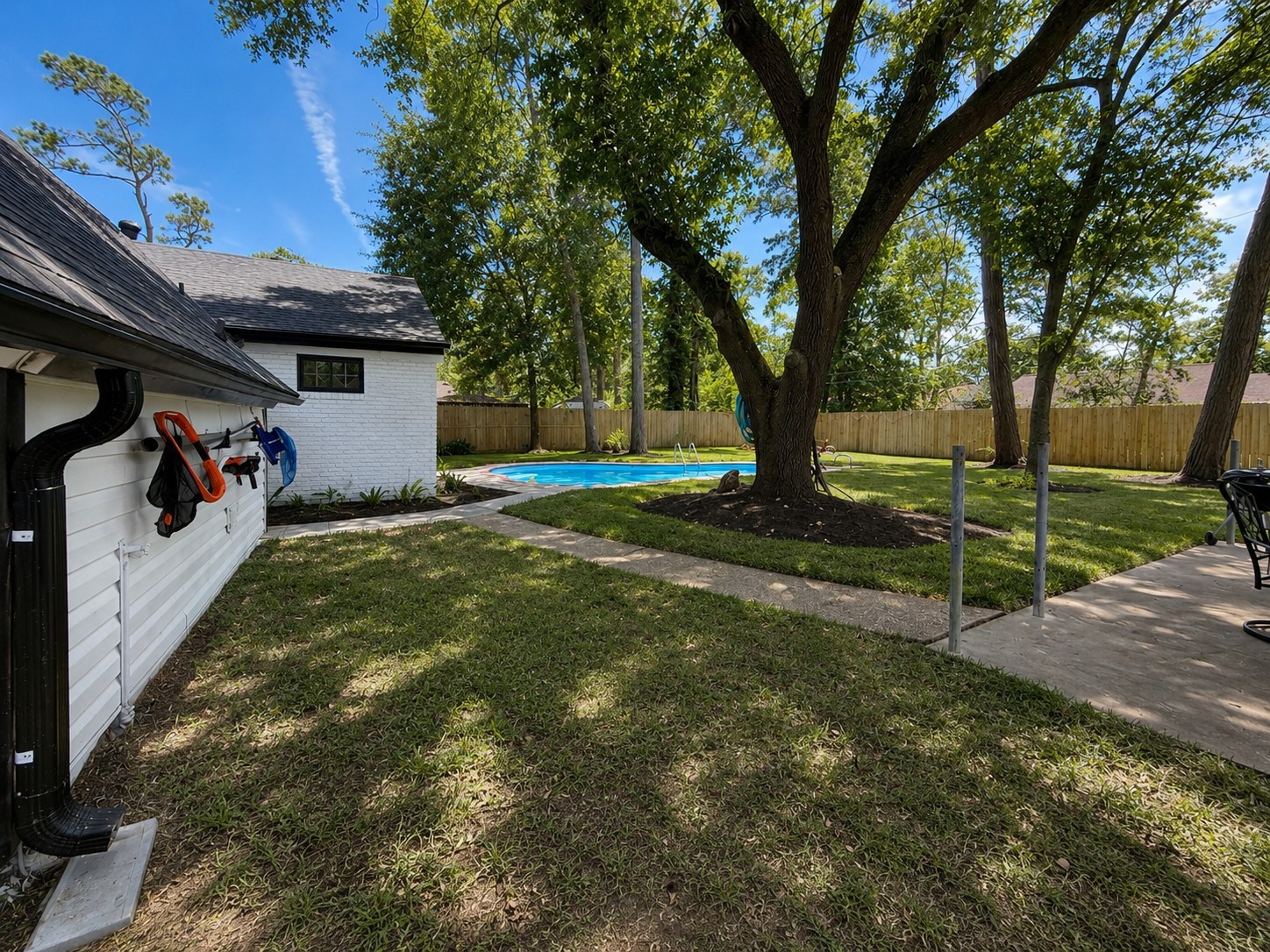 Back yard