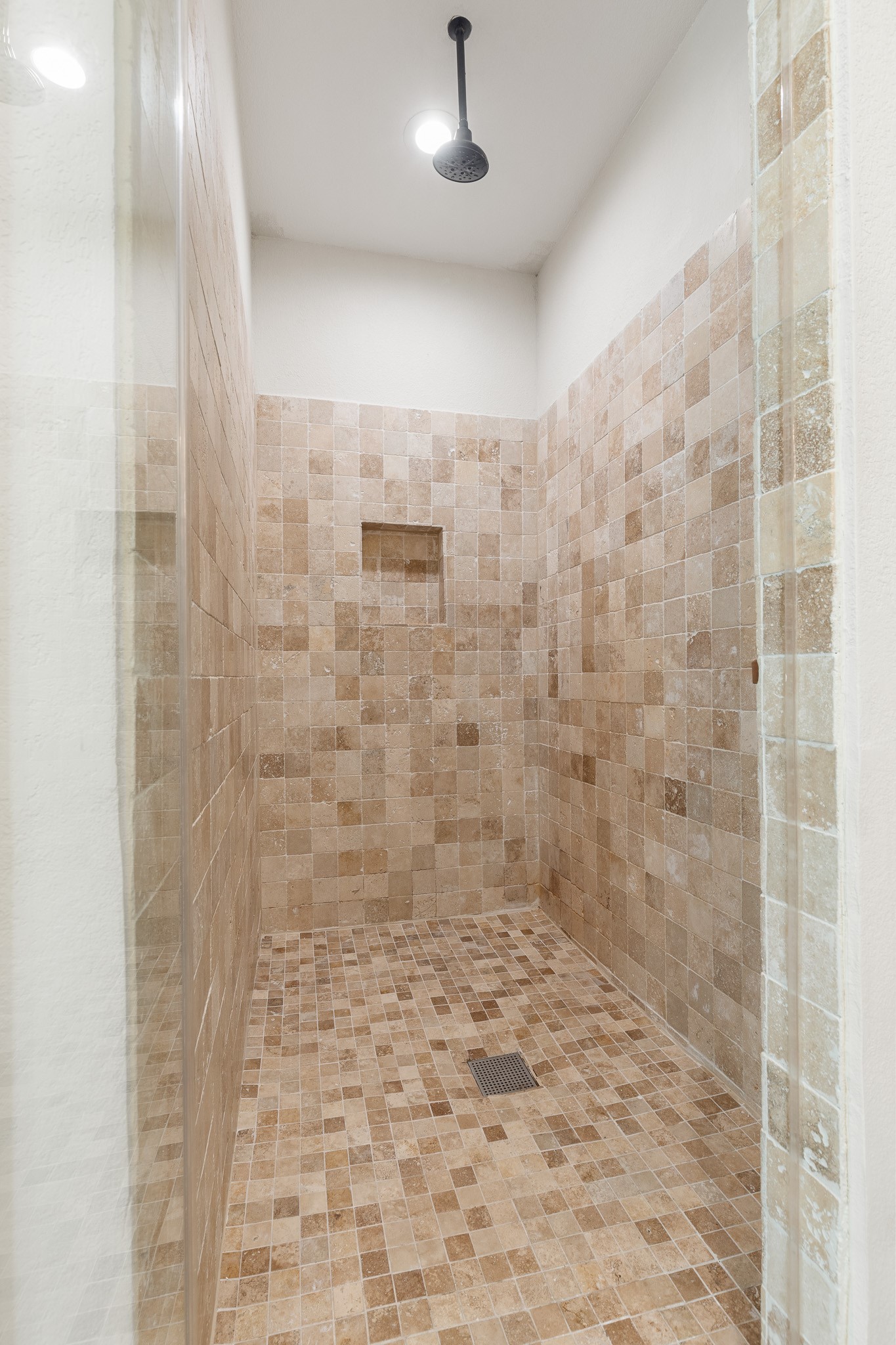 Walk-in shower with multiple spray wand options in Primary Bathroom