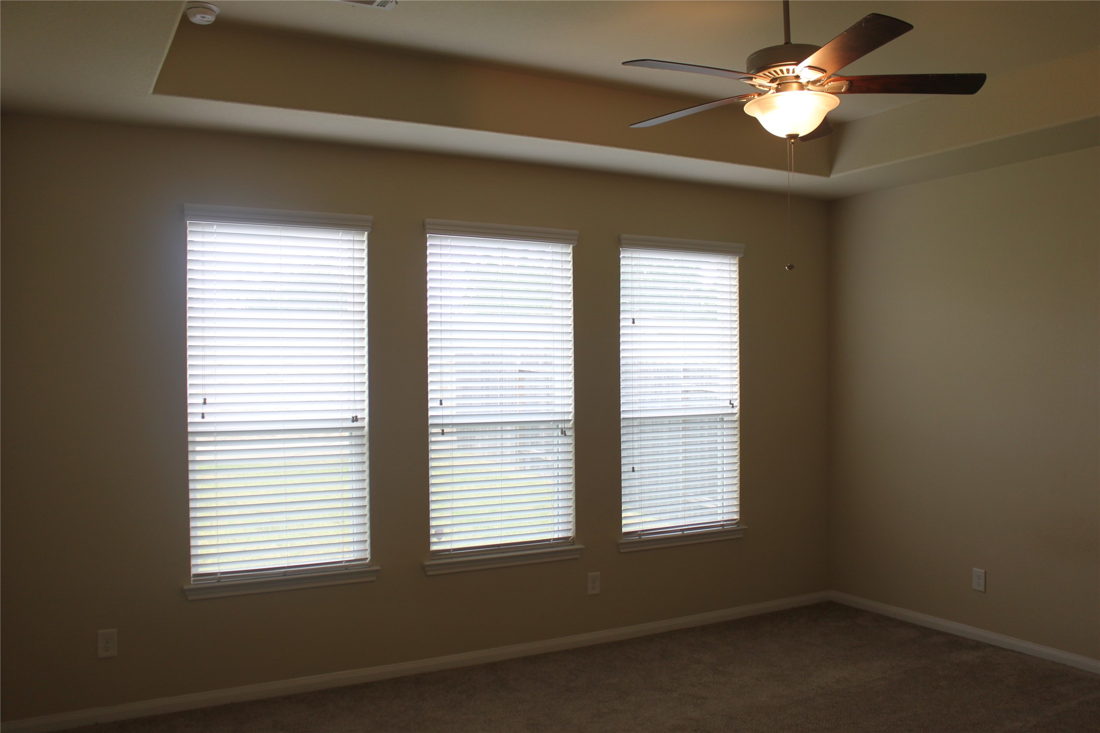 3715 Don Giovanni Place, Katy, TX 77493