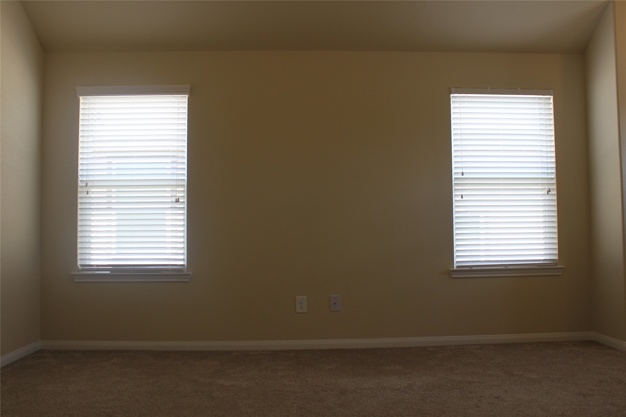 3715 Don Giovanni Place, Katy, TX 77493