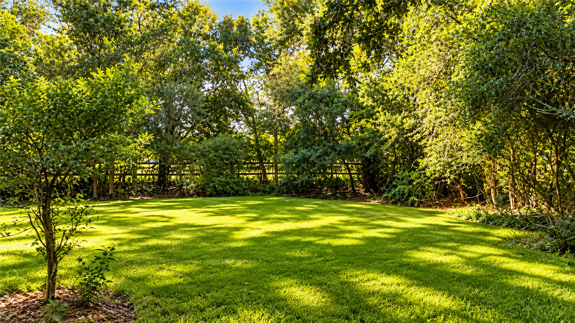Spacious backyard
