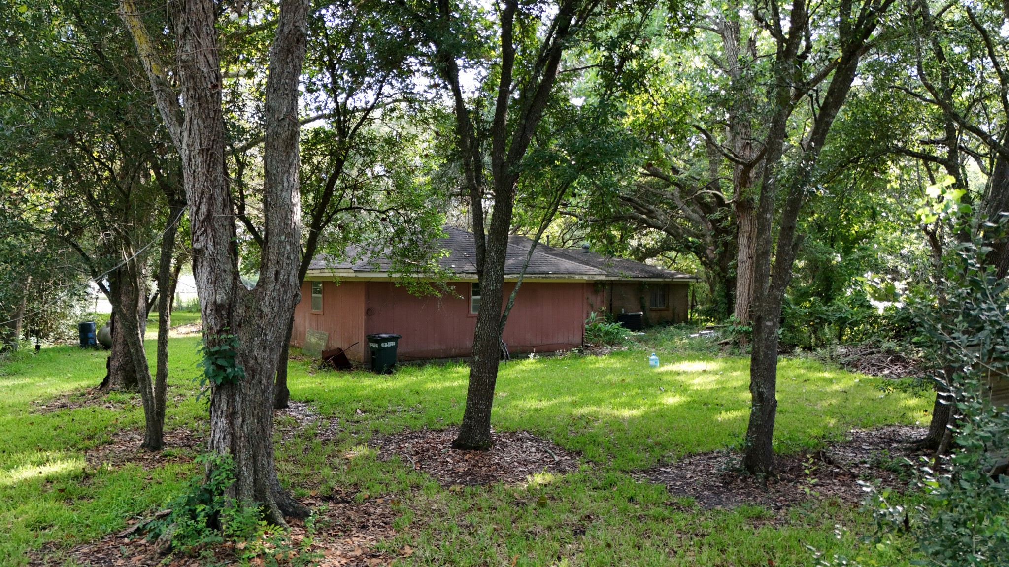 Backyard full of mature trees!!