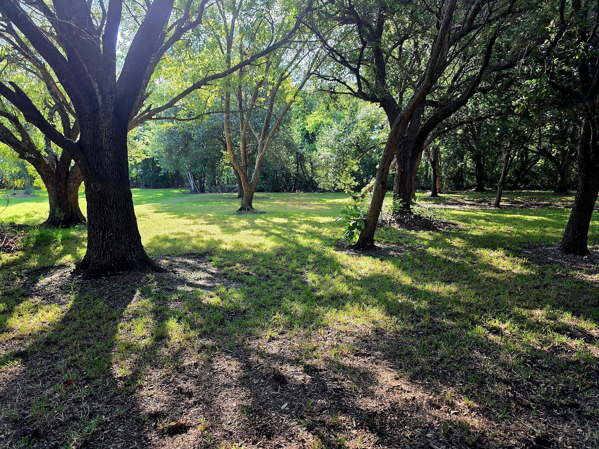 13502 30th Street, Santa Fe, TX 77510