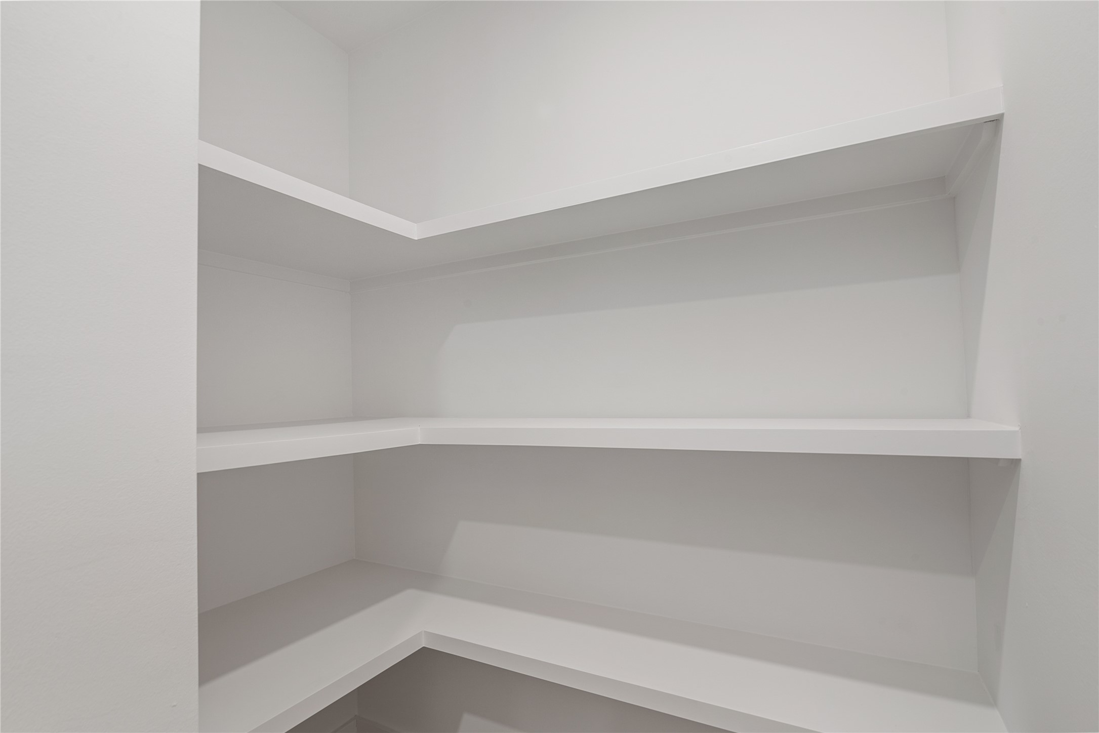 Built-in pantry shelving provides convenient storage and organization just off the kitchen.