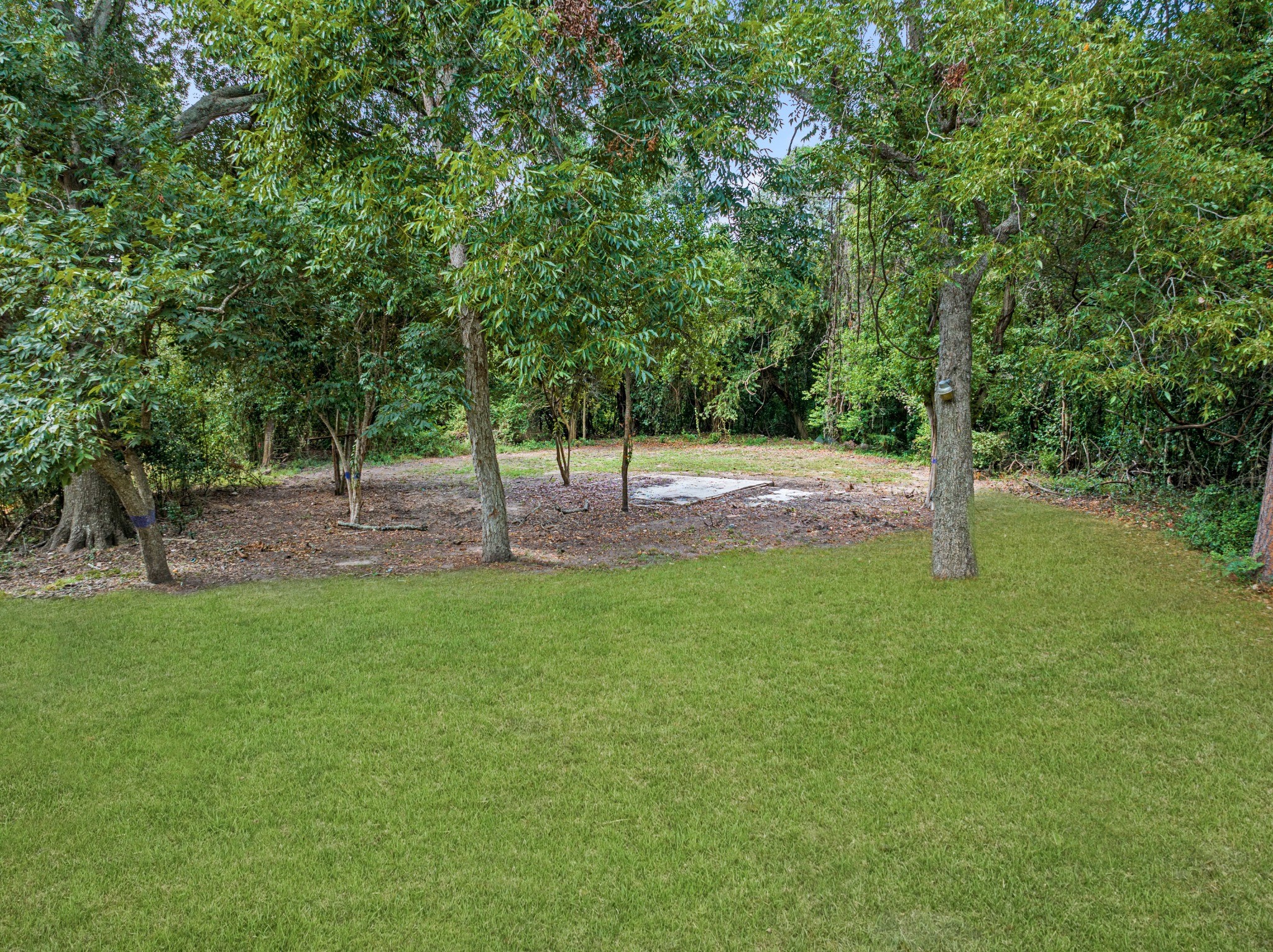 Additional view of the property's expansive yard, featuring established trees, open lawn, and a wooded backdrop.