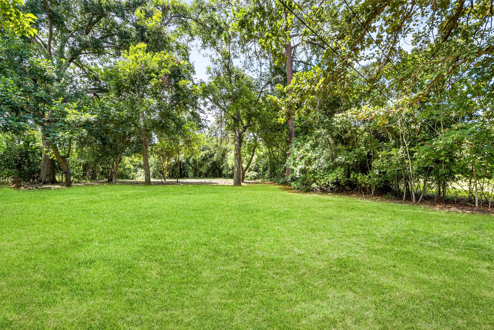 Wide view of the sprawling green lawn and mature trees, offering plenty of space to enjoy the nearly one-acre property.