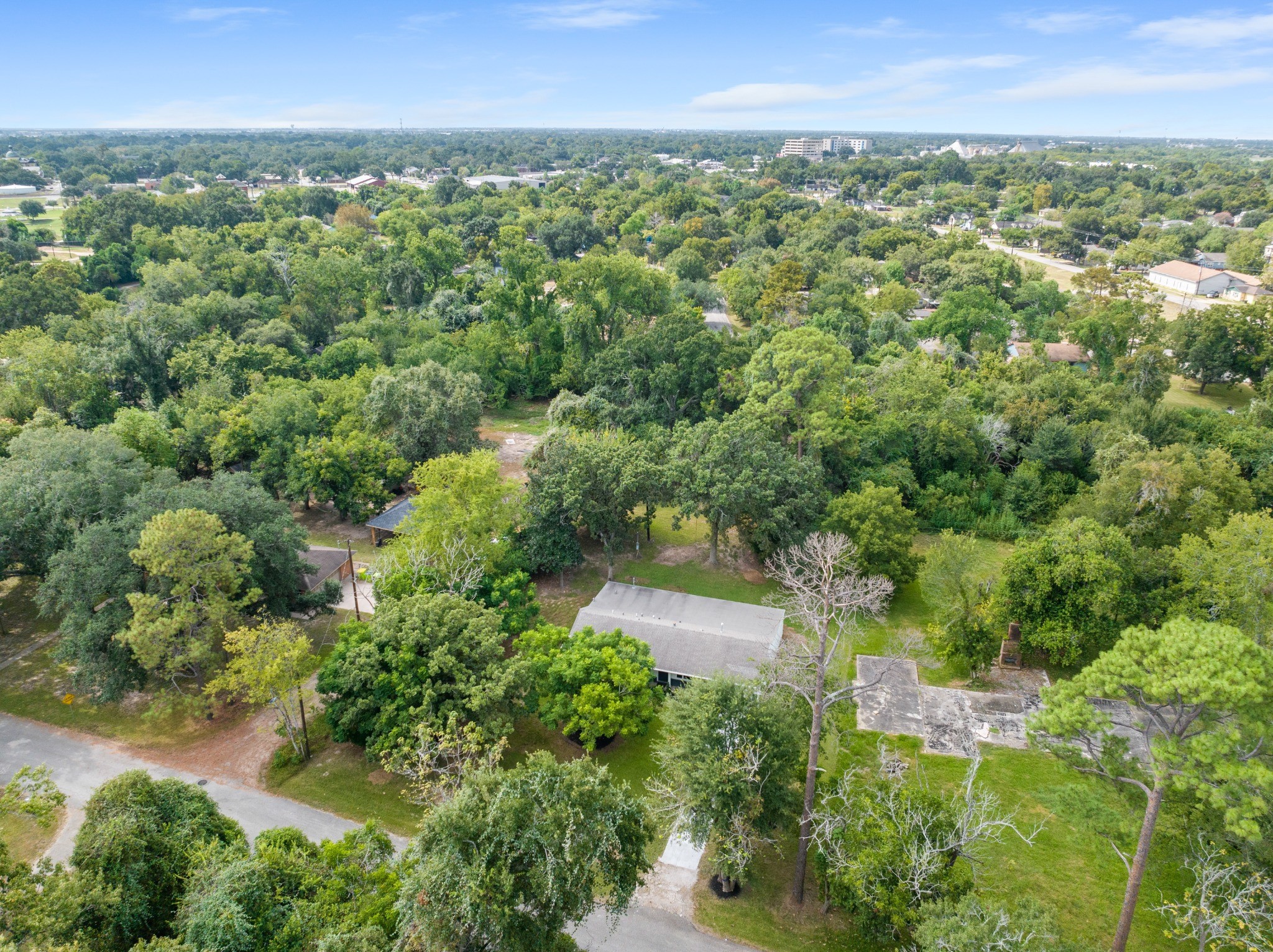 Elevated aerial perspective showcasing the home's established, tree-filled Richmond surroundings.