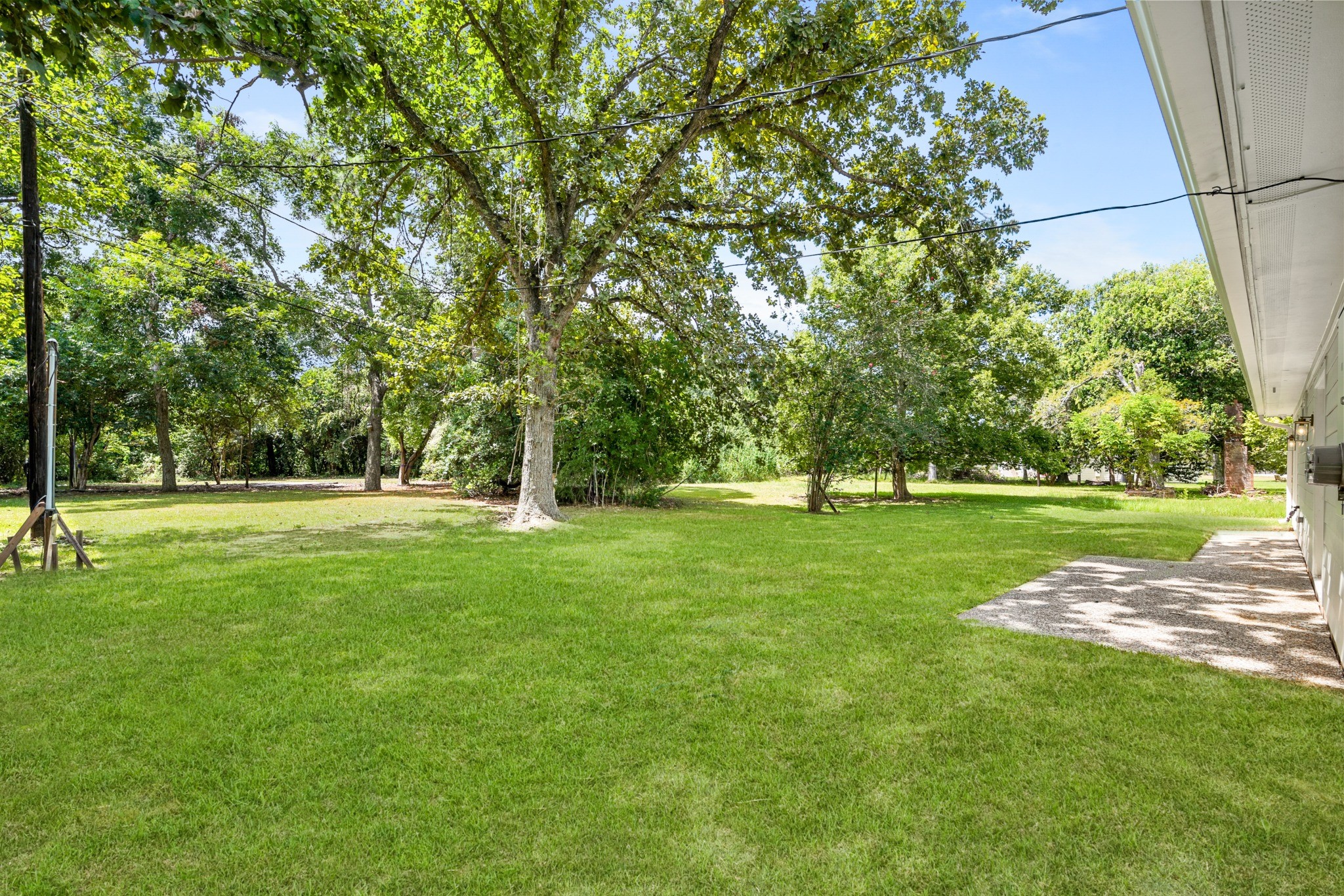 Beautifully maintained lawn beneath mature shade trees, showcasing the generous outdoor space surrounding the home.