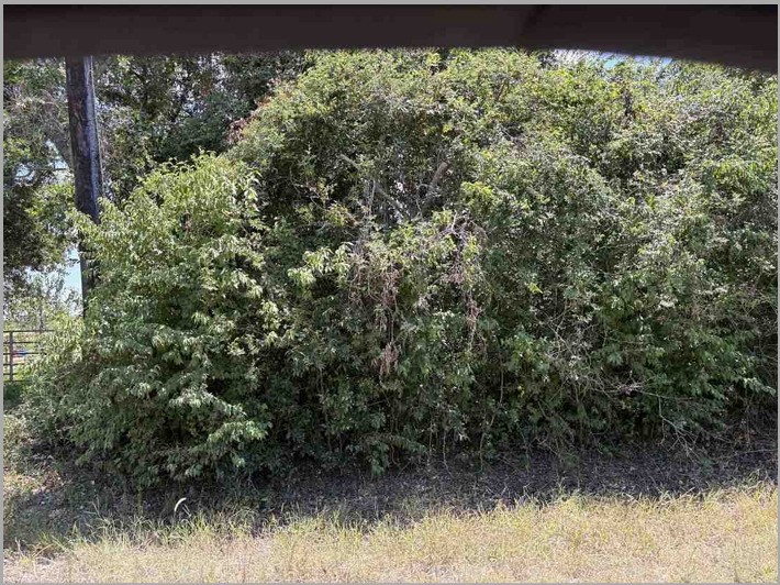9935 County Road 67, Manvel, TX 77578