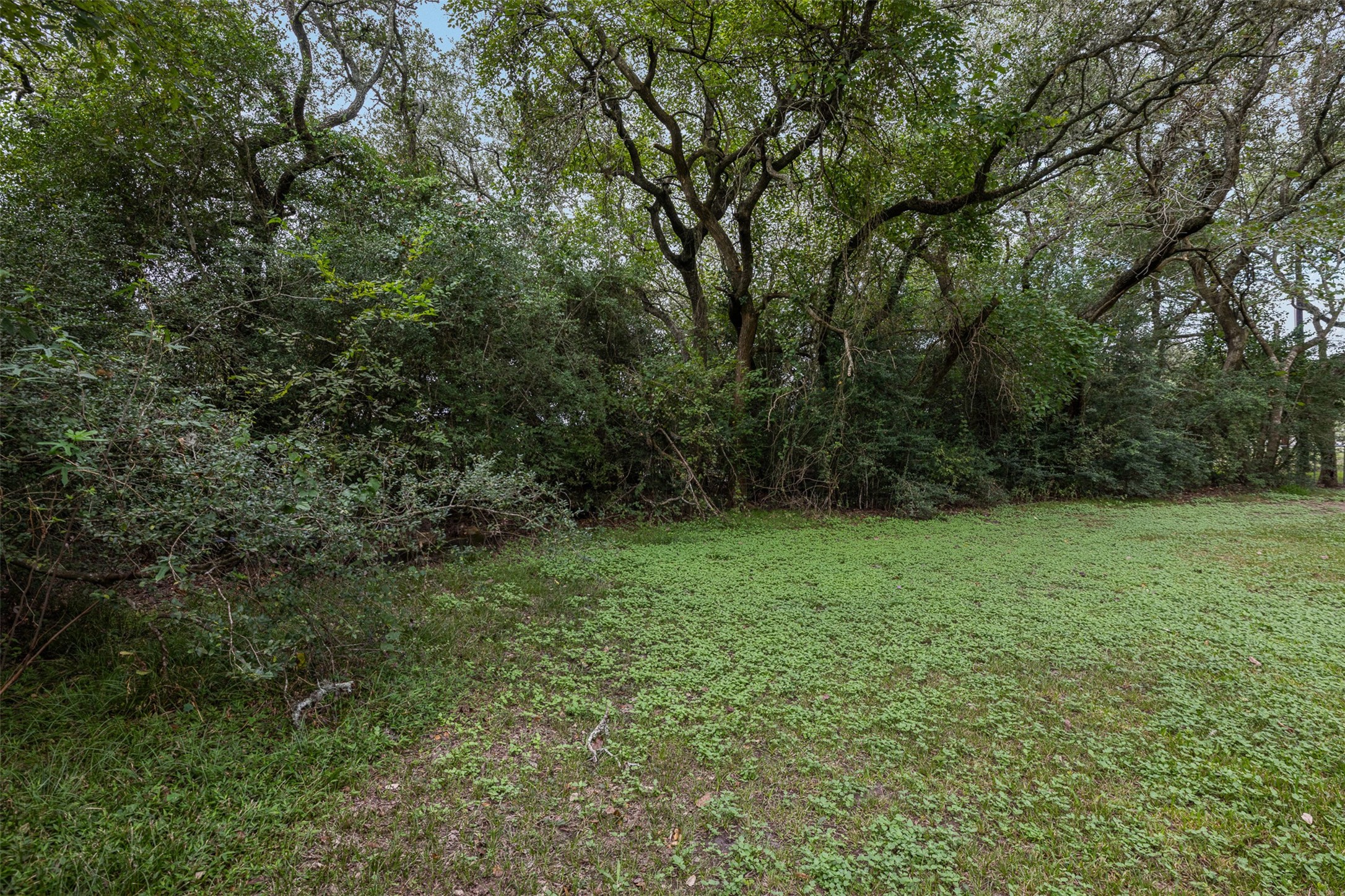1081 Shirley Oaks Street, Columbus, TX 78934