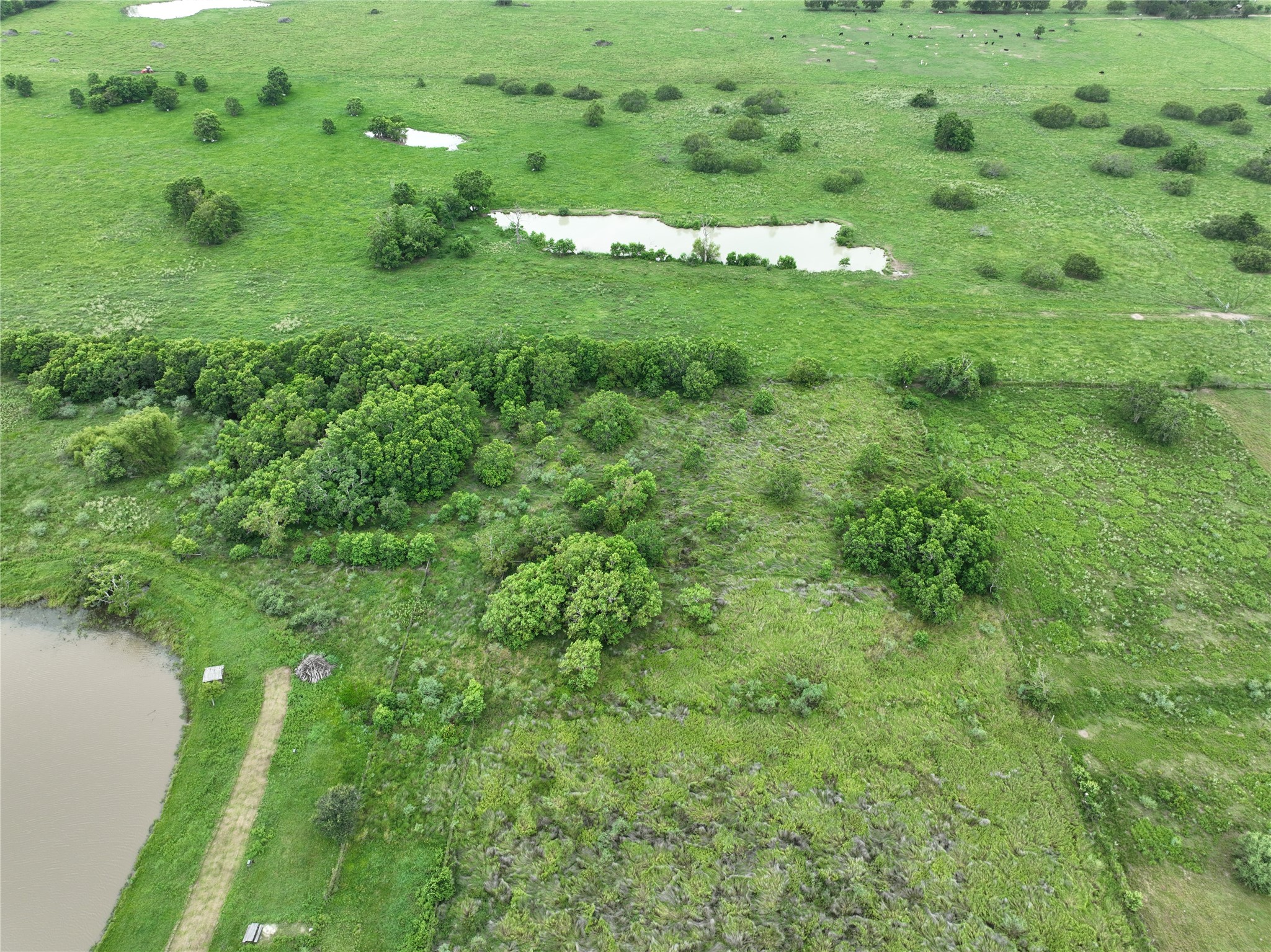 7702 Vincik Ehlert Road, Rosenberg, TX 77471