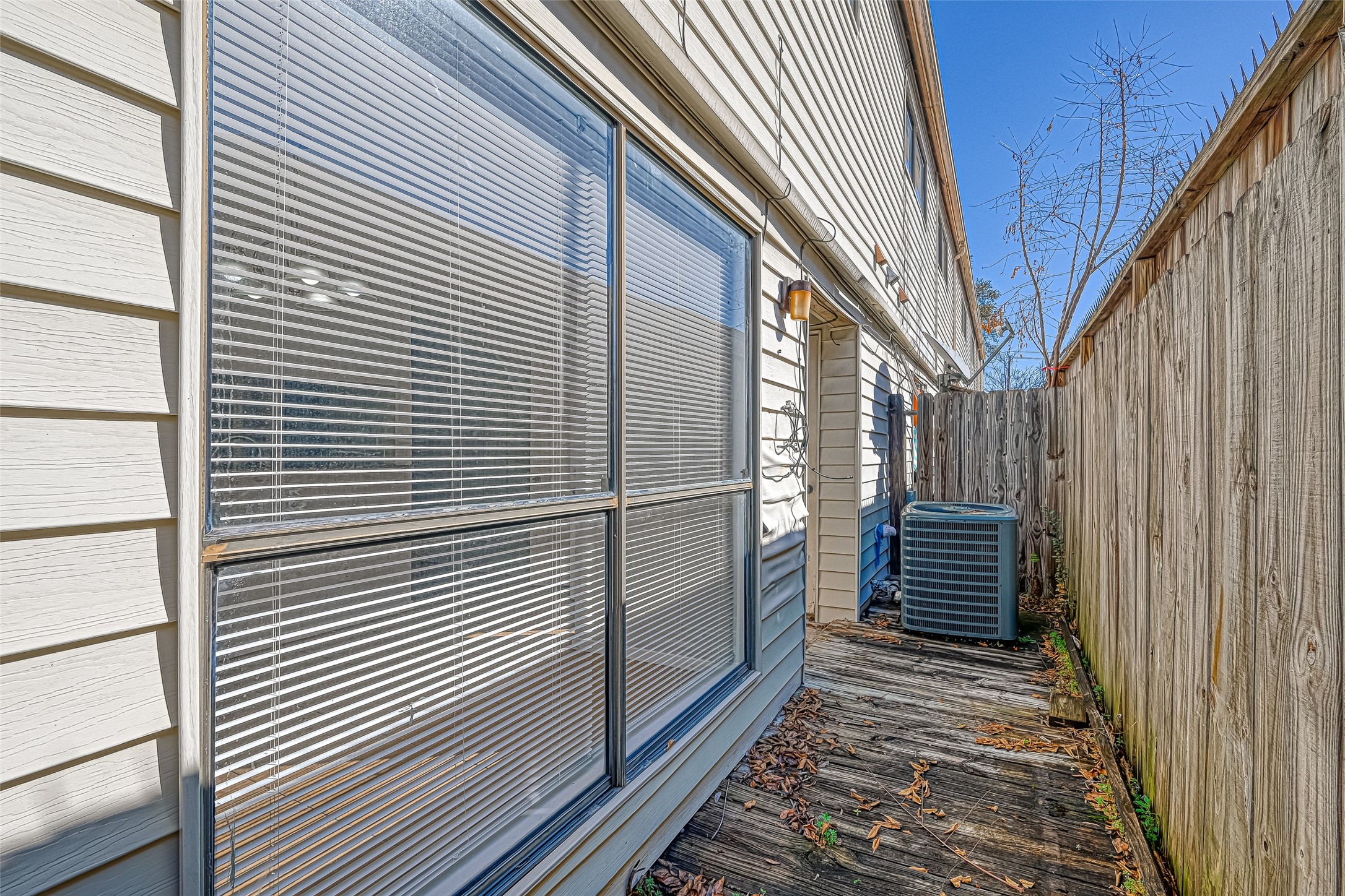 Side Yard