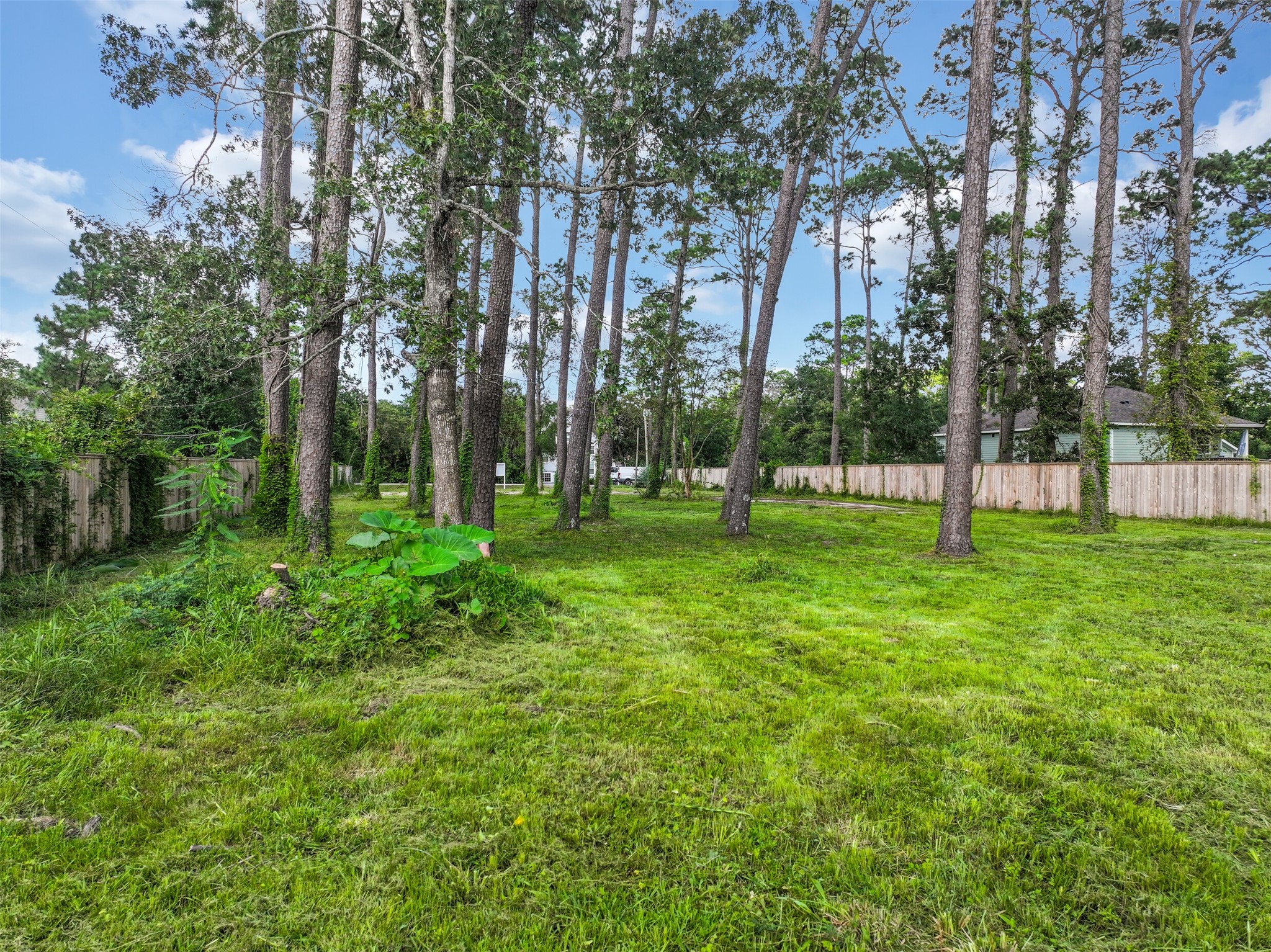 3219 Oak Drive, Dickinson, TX 77539 3219 Oak Drive, Dickinson, TX 77539