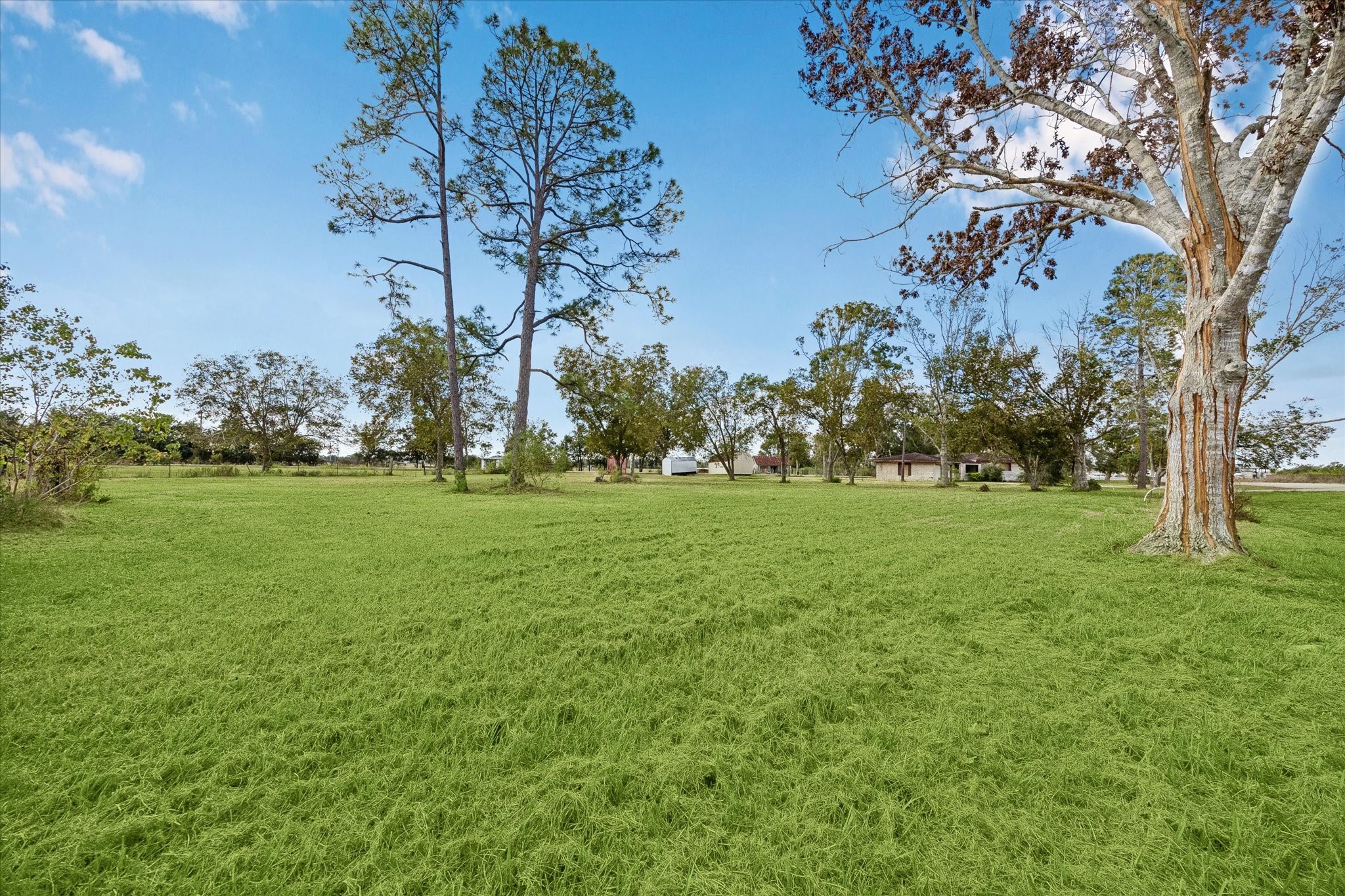 1513 County Road 210, Angleton, TX 77515