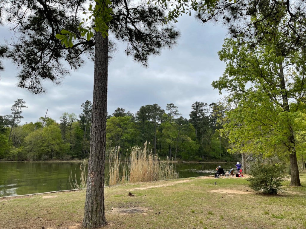 Scott's Ridge Recreation Area, a day-use swim beach located within the national forest
