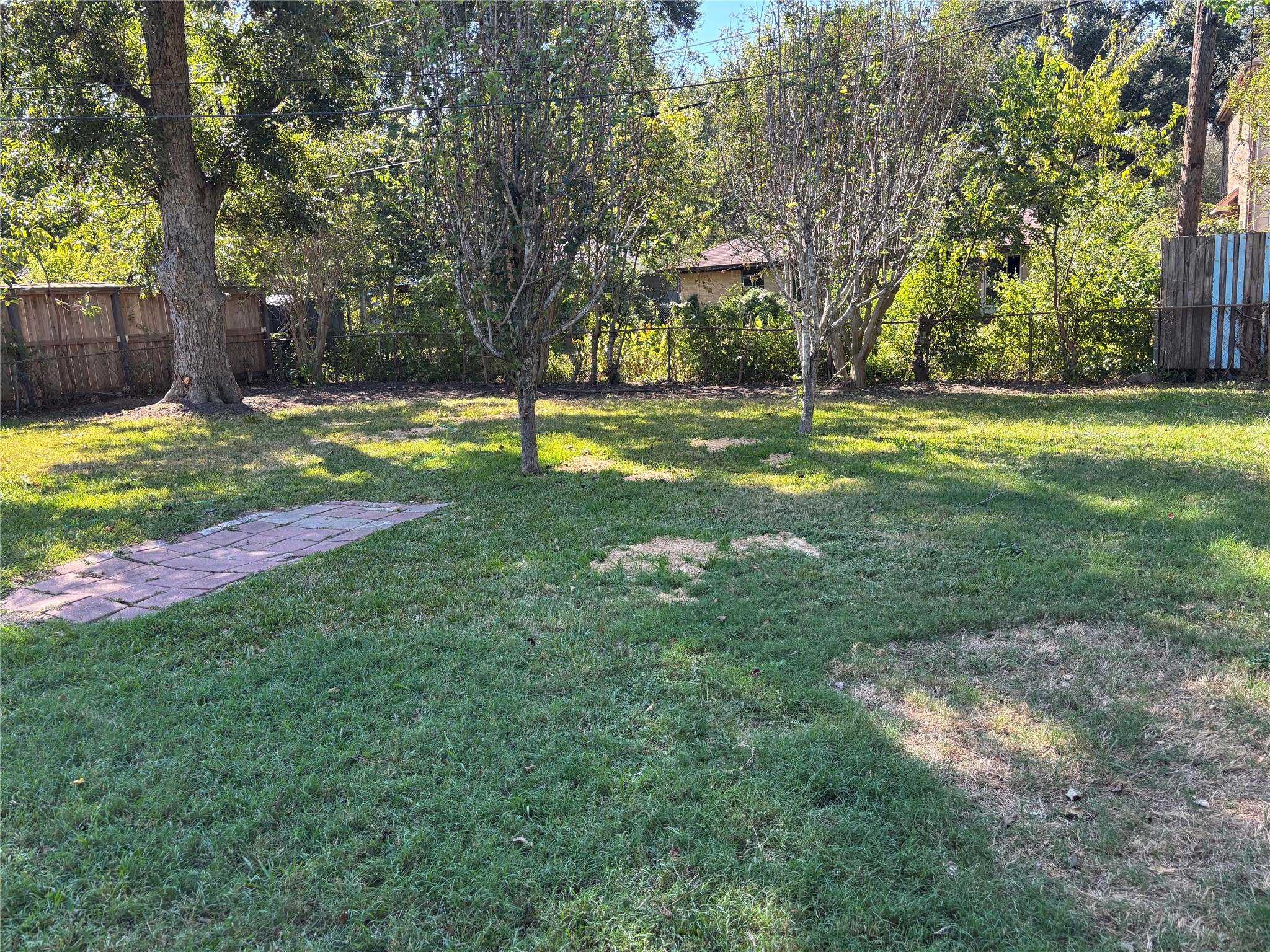 Big back yard