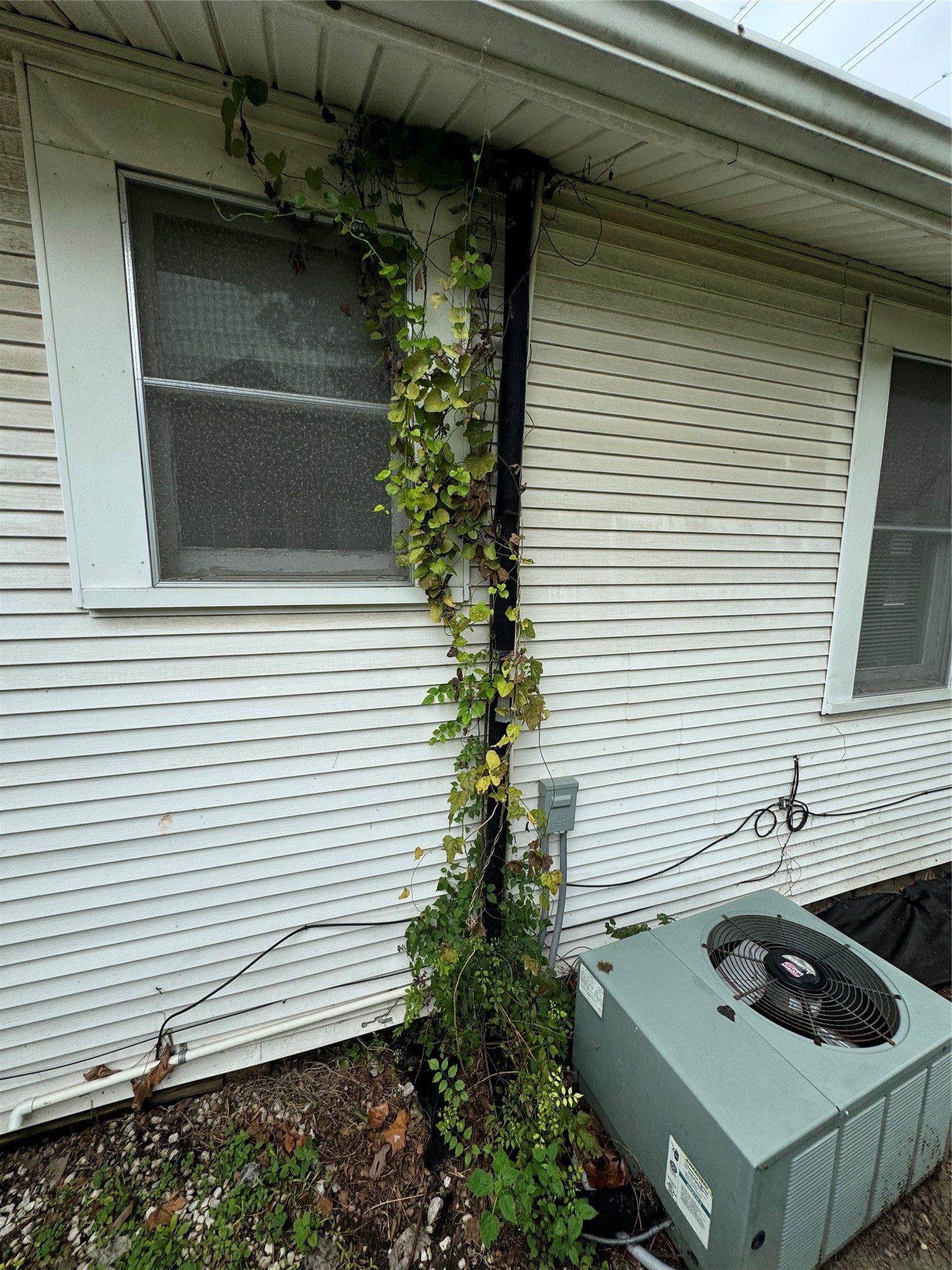 901 W 13th, Houston, TX 77008