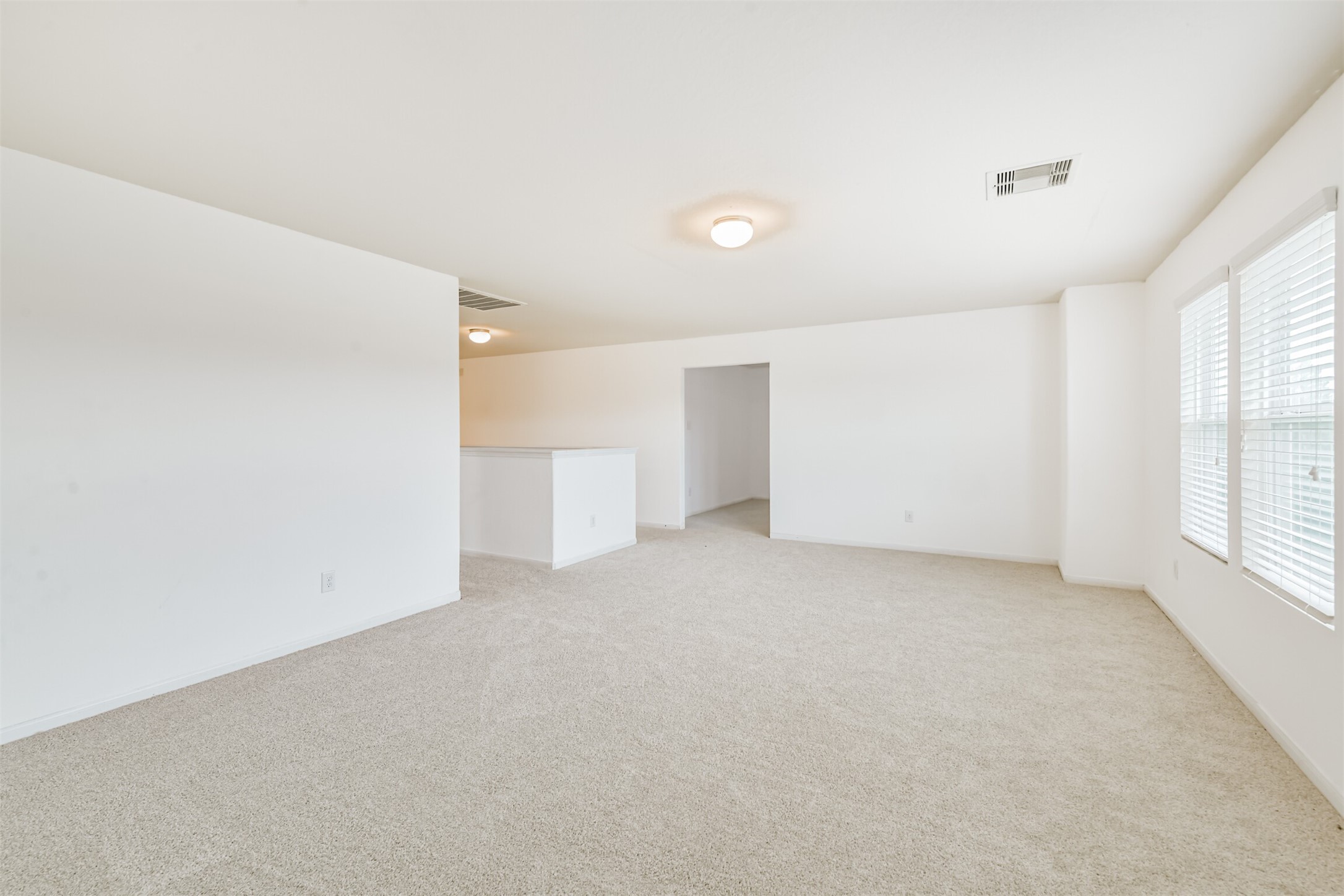 1230 Newsome Glenn Drive, Houston, TX 77090