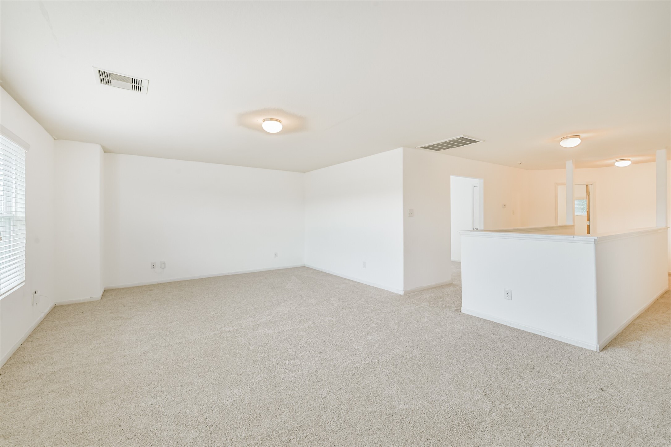 1230 Newsome Glenn Drive, Houston, TX 77090