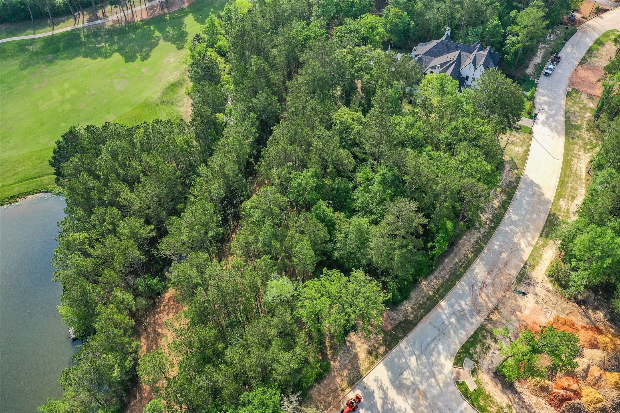 138 Royal Palm Avenue, Montgomery, TX 77316