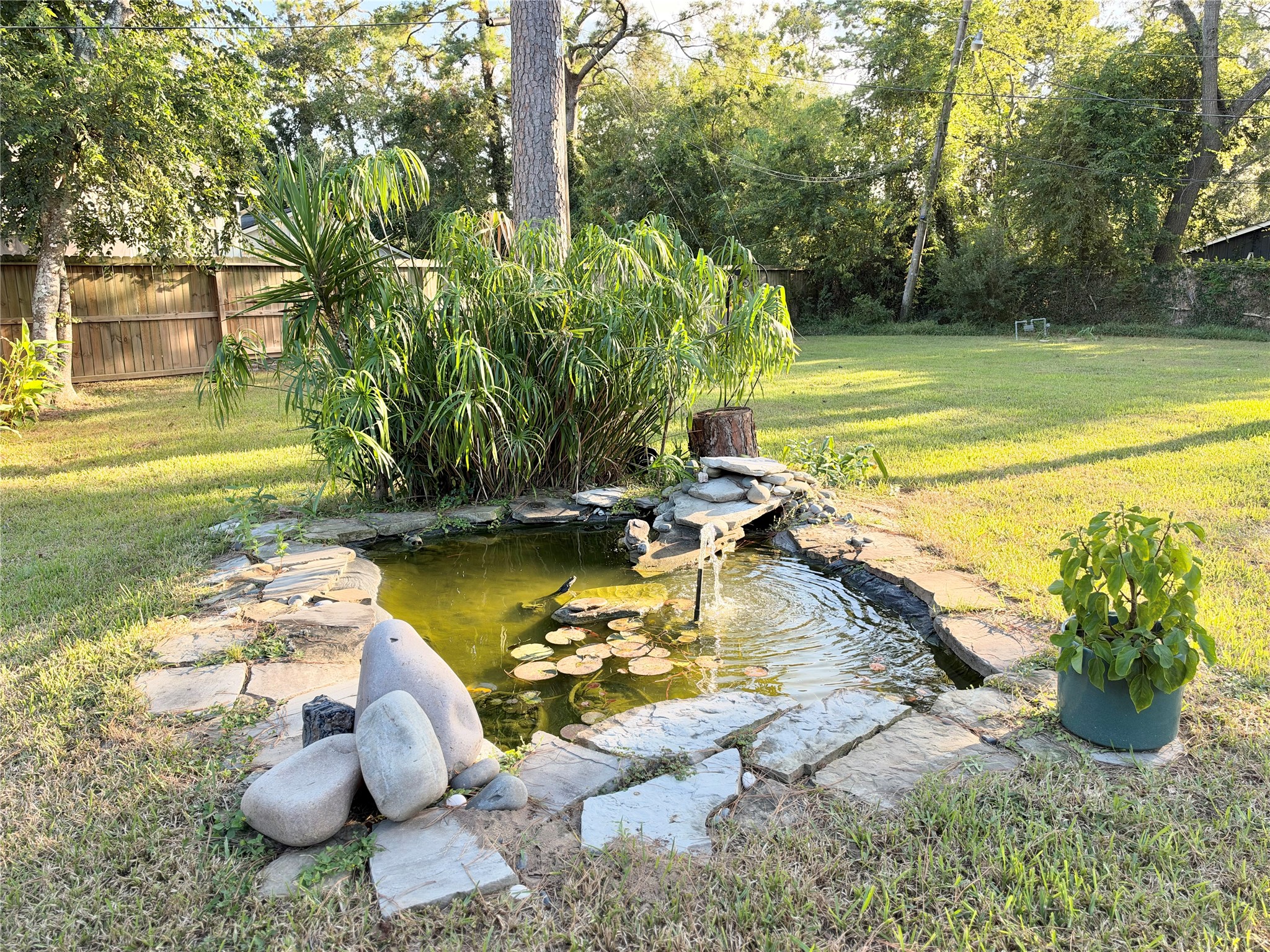 Expanded view of the Koi sanctuary Expanded view of the Koi sanctuary