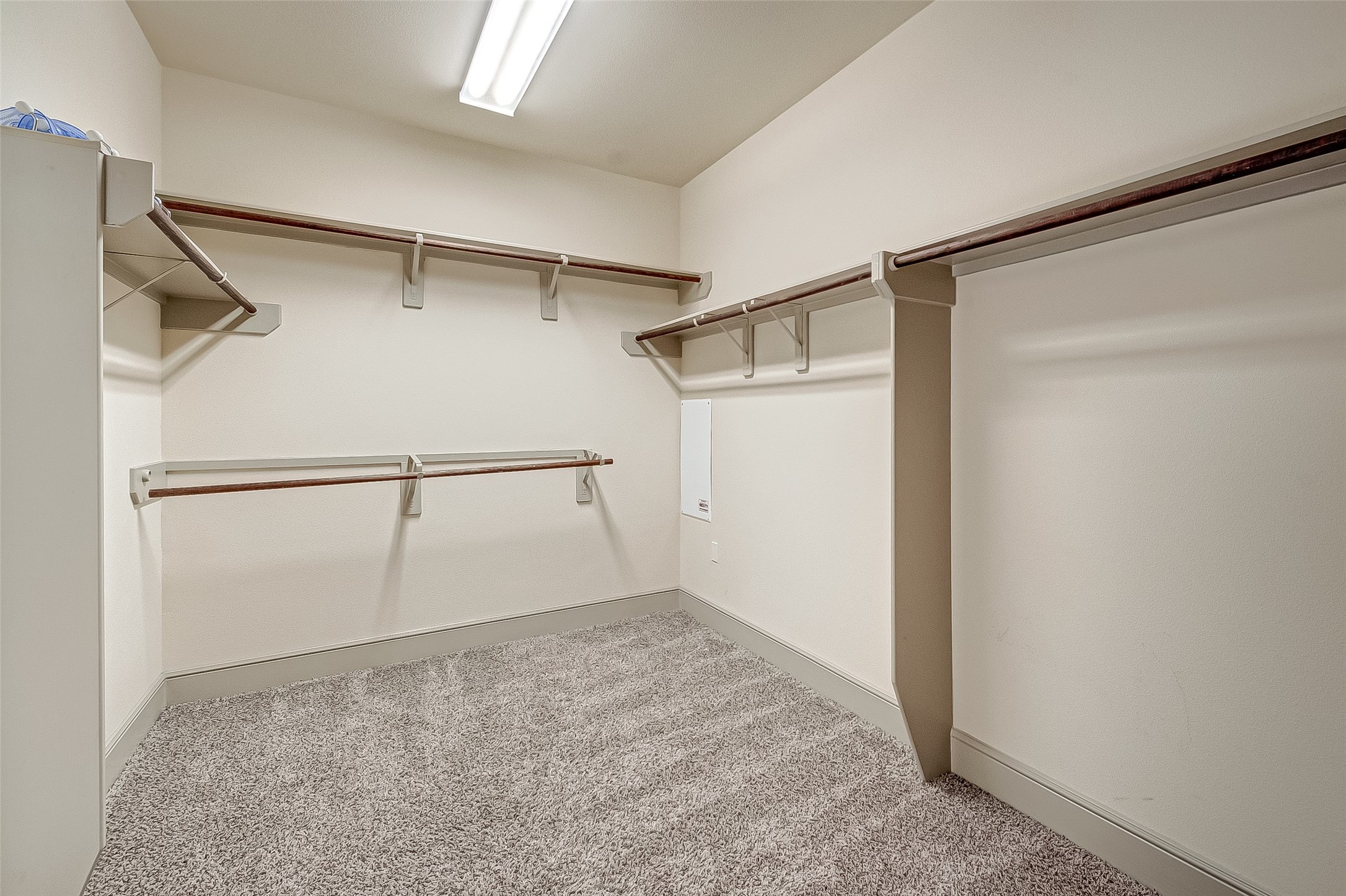 Spacious walk-in closet featuring ample shelving and hanging rods, with soft carpeted flooring and bright overhead lighting.