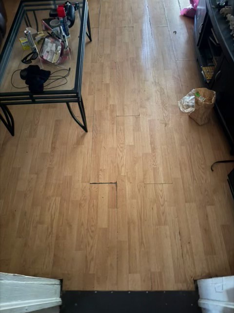 Property being sold "as is"