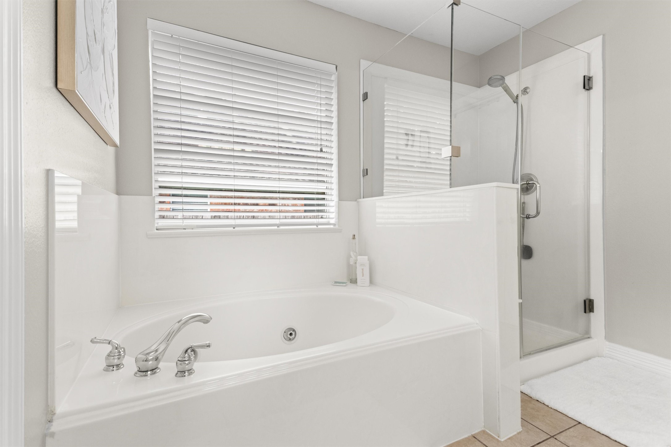 12762 Point Aquarius Boulevard, Willis, TX 77318