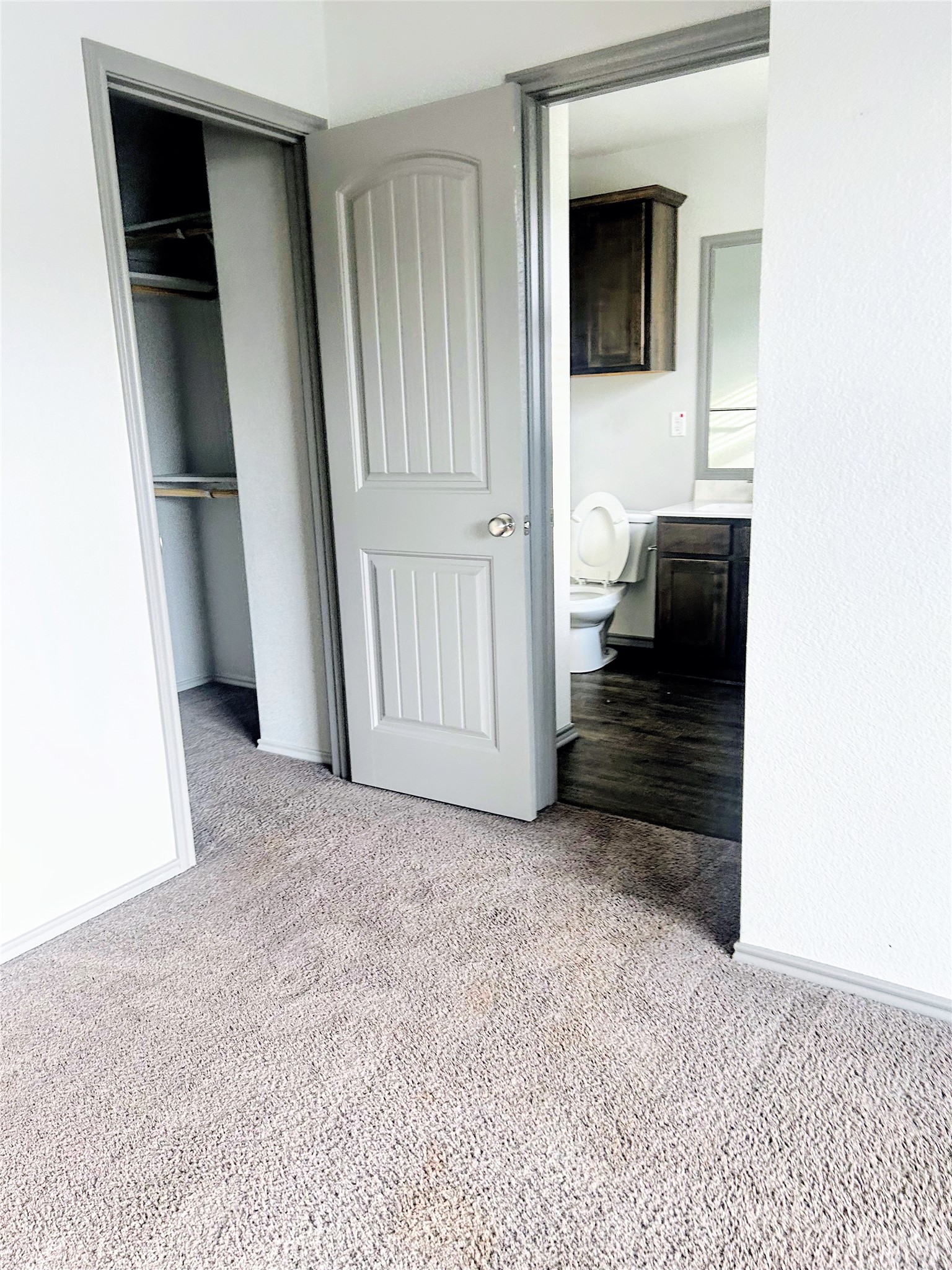 Primary Bedroom has Walk-in closet and Primary bathroom