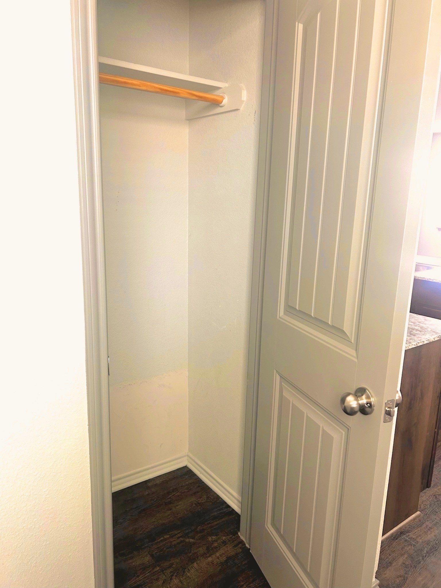 Storage closet near entrance