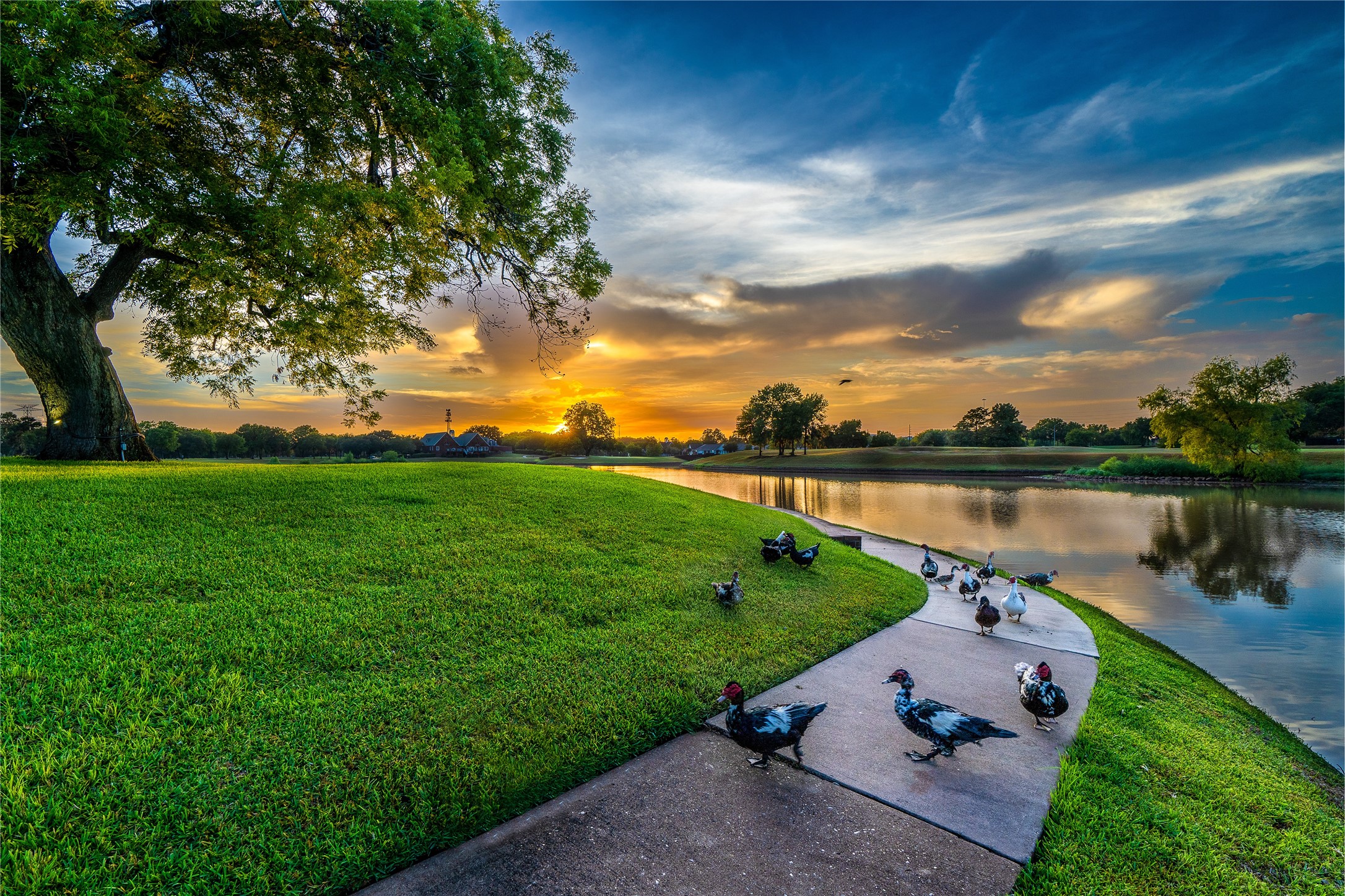 TRANQUIL LAKESIDE TRAILS.