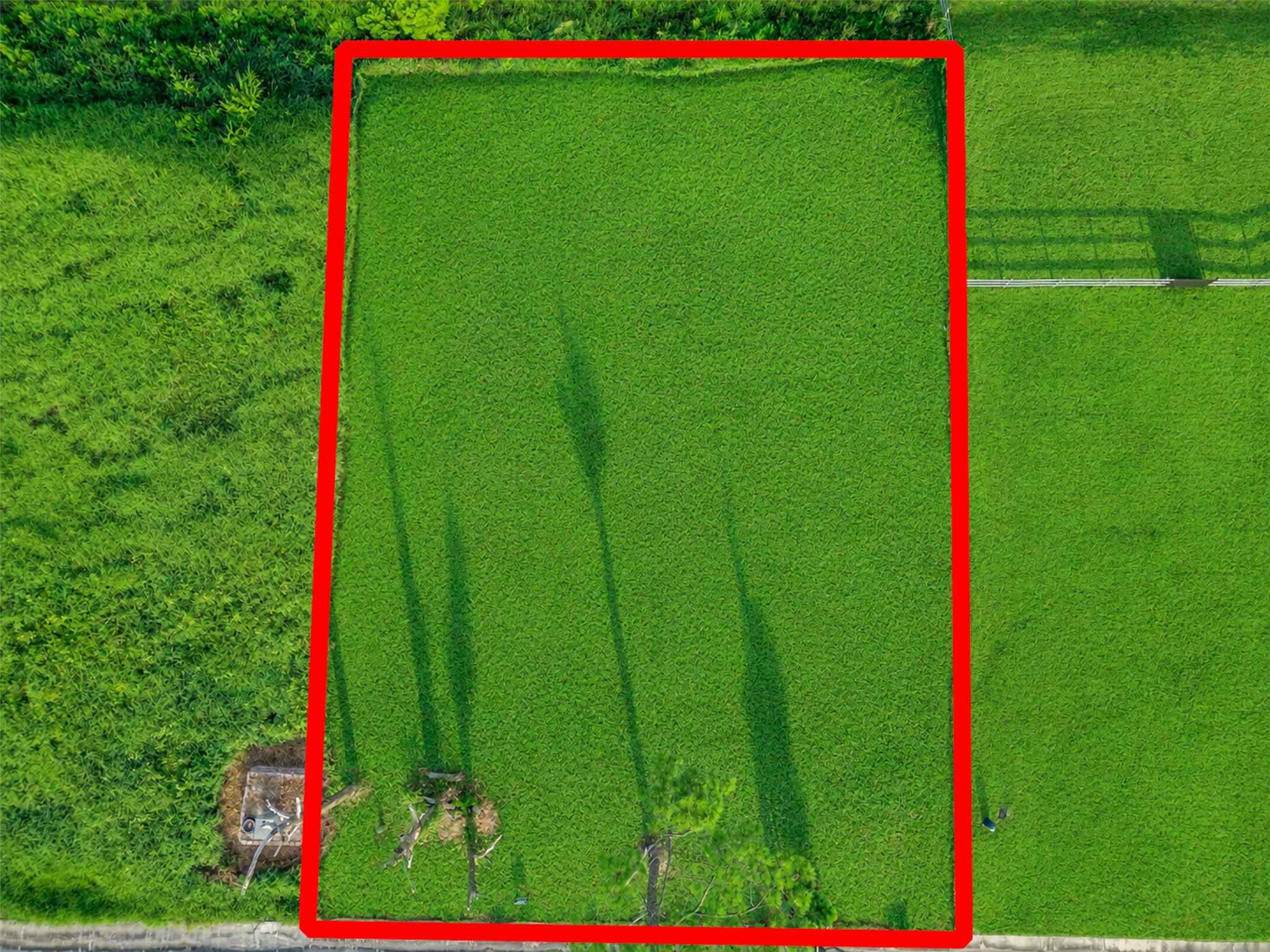 4116 Leslies Way, Dickinson, TX 77539