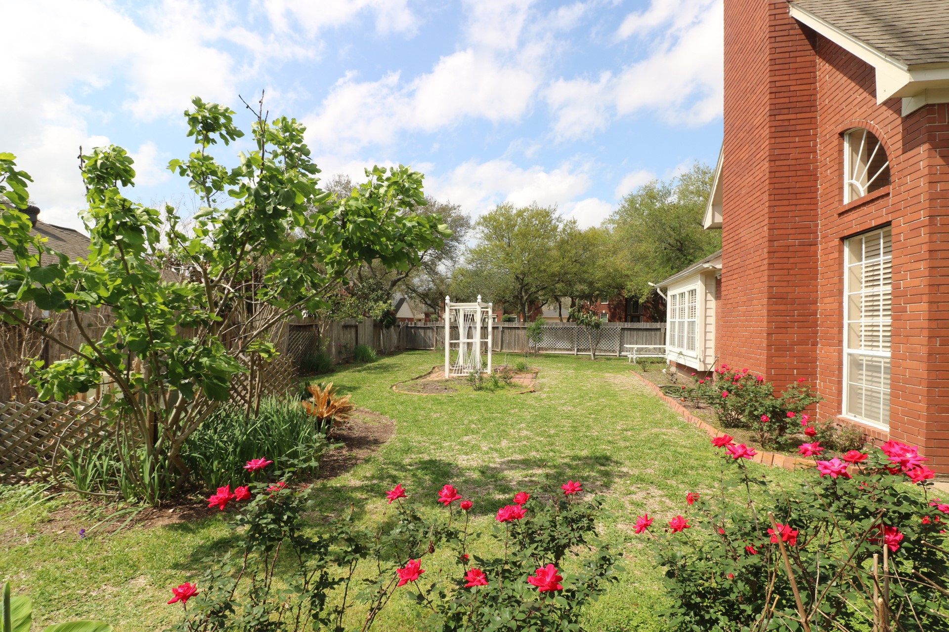 Beautiful backyard with recent fences