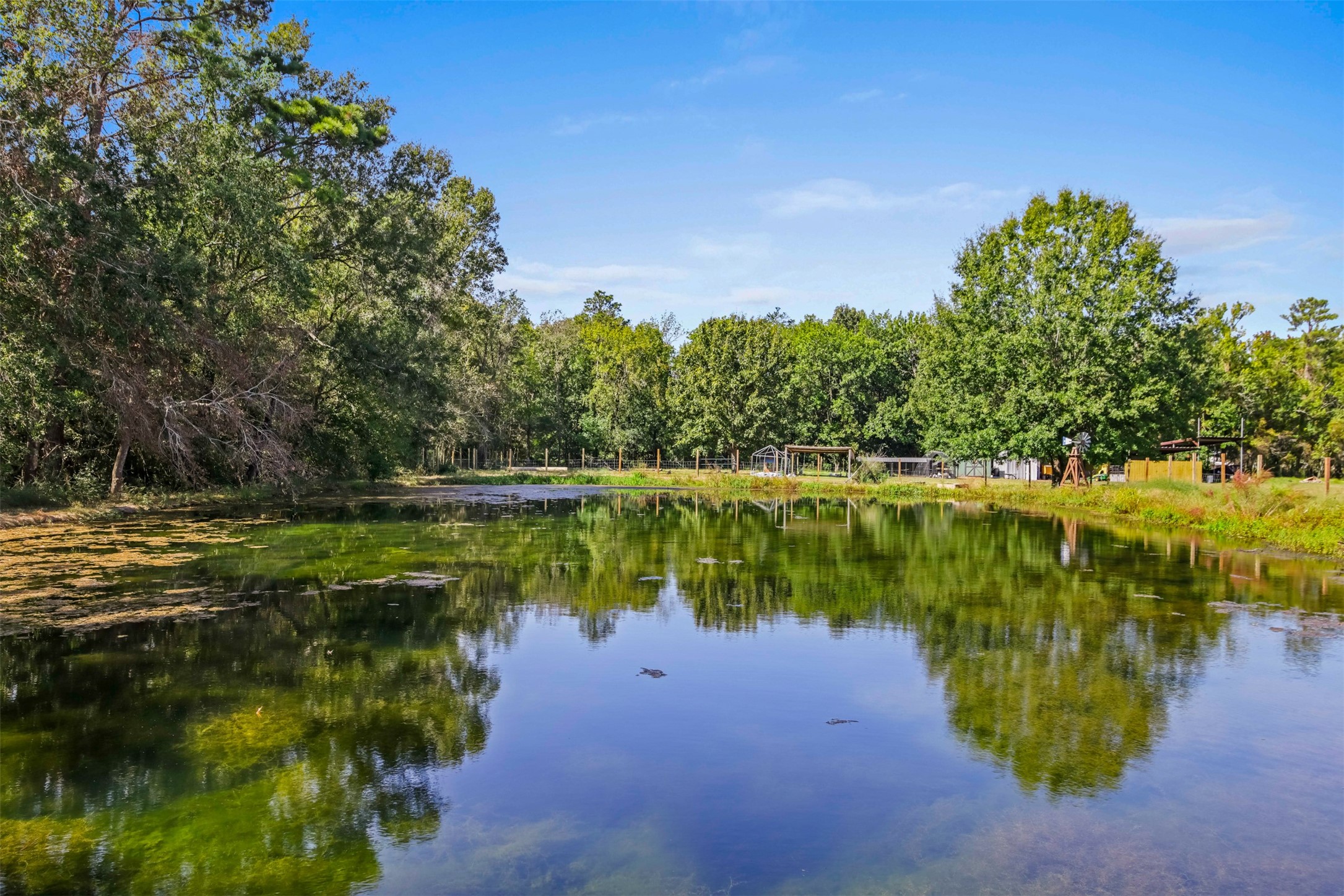View of the stocked pond located on the property. This pond has both bass and catfish and is shared with the neighbor.