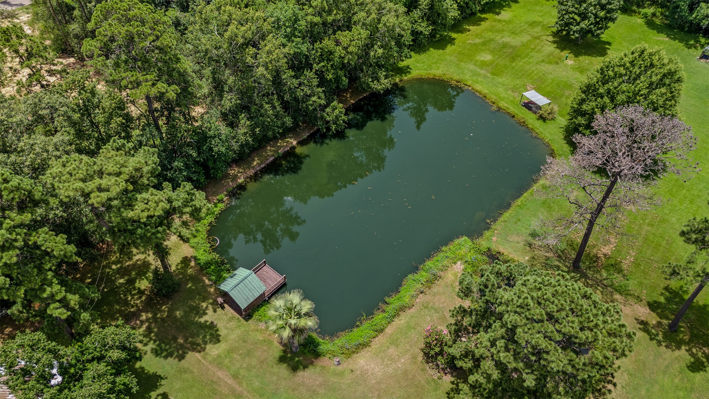 Aerial view of the shared pond.