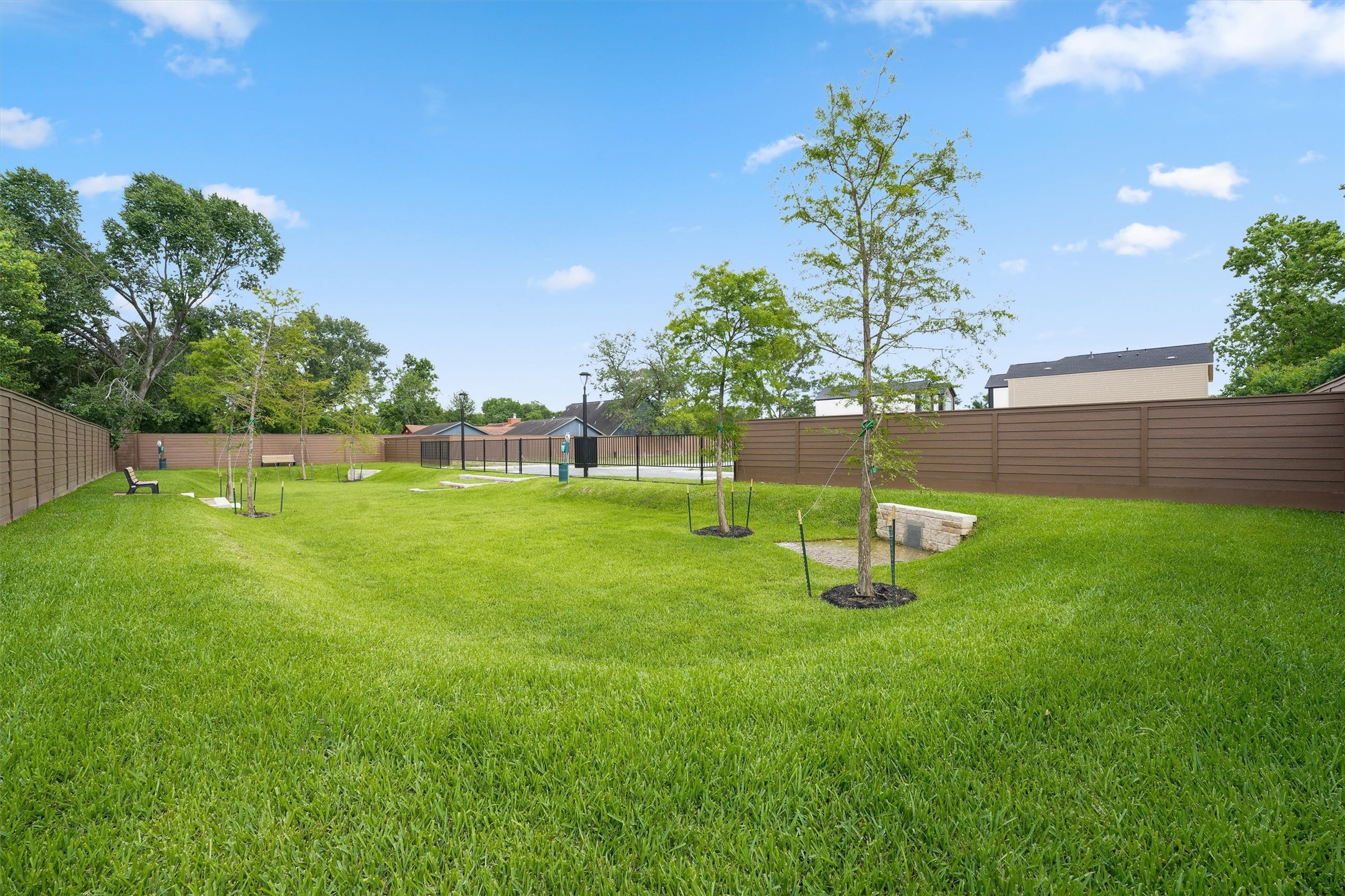 Expansive Park
