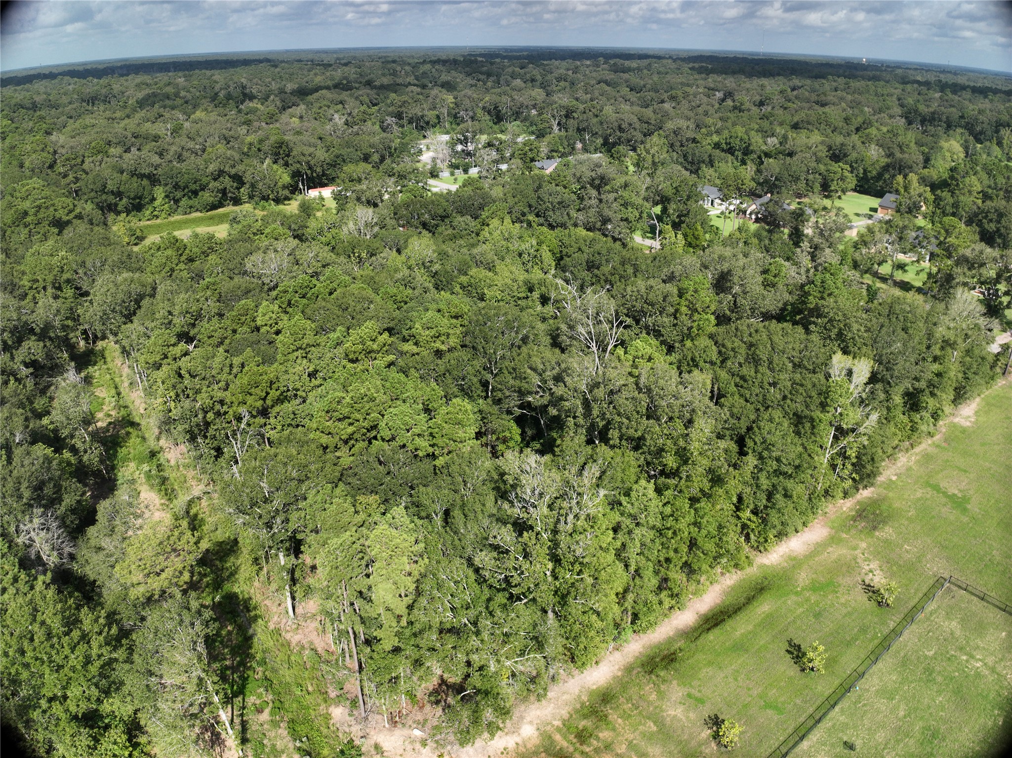 27060 Hill And Dale Avenue, Splendora, TX 77372
