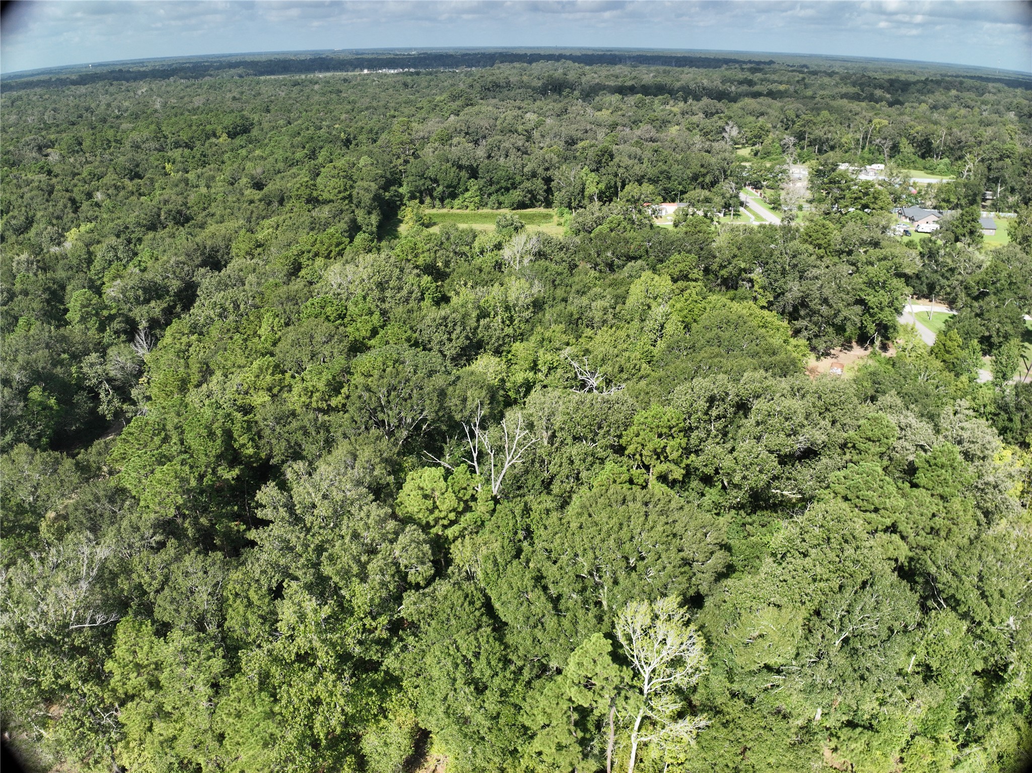 27060 Hill And Dale Avenue, Splendora, TX 77372