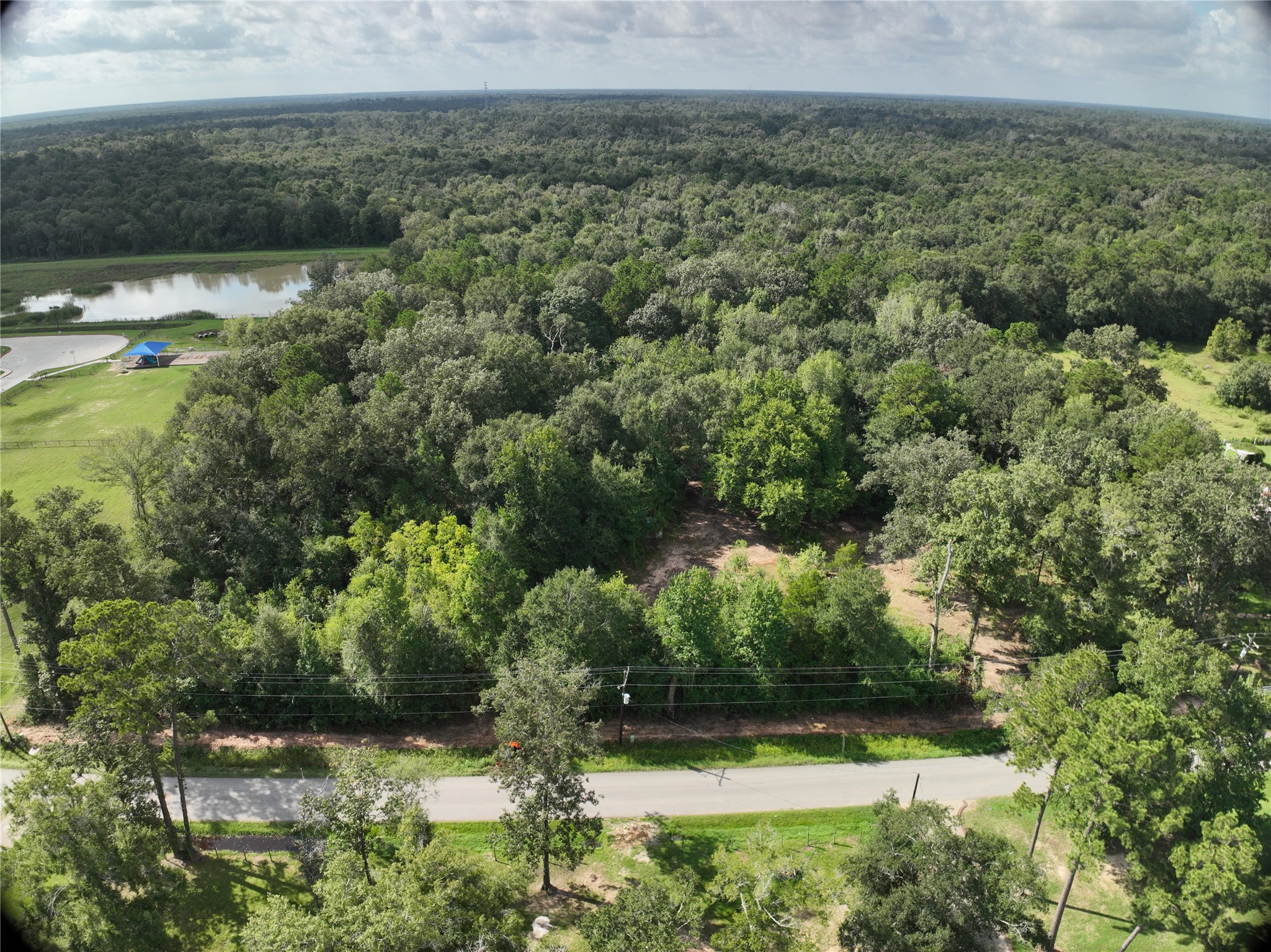 27060 Hill And Dale Avenue, Splendora, TX 77372